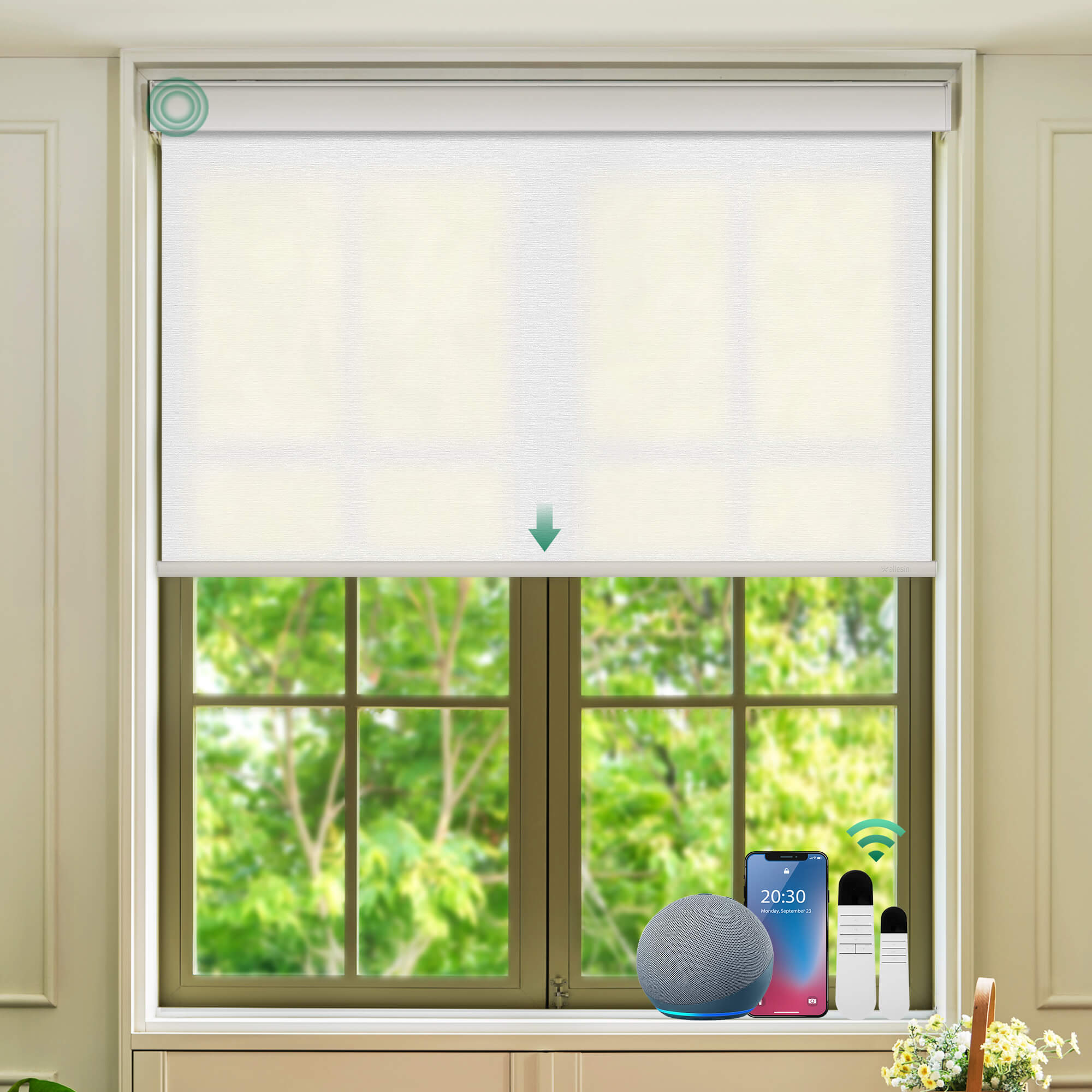 Allesin Select Motorized Light Filtering Roller Shades