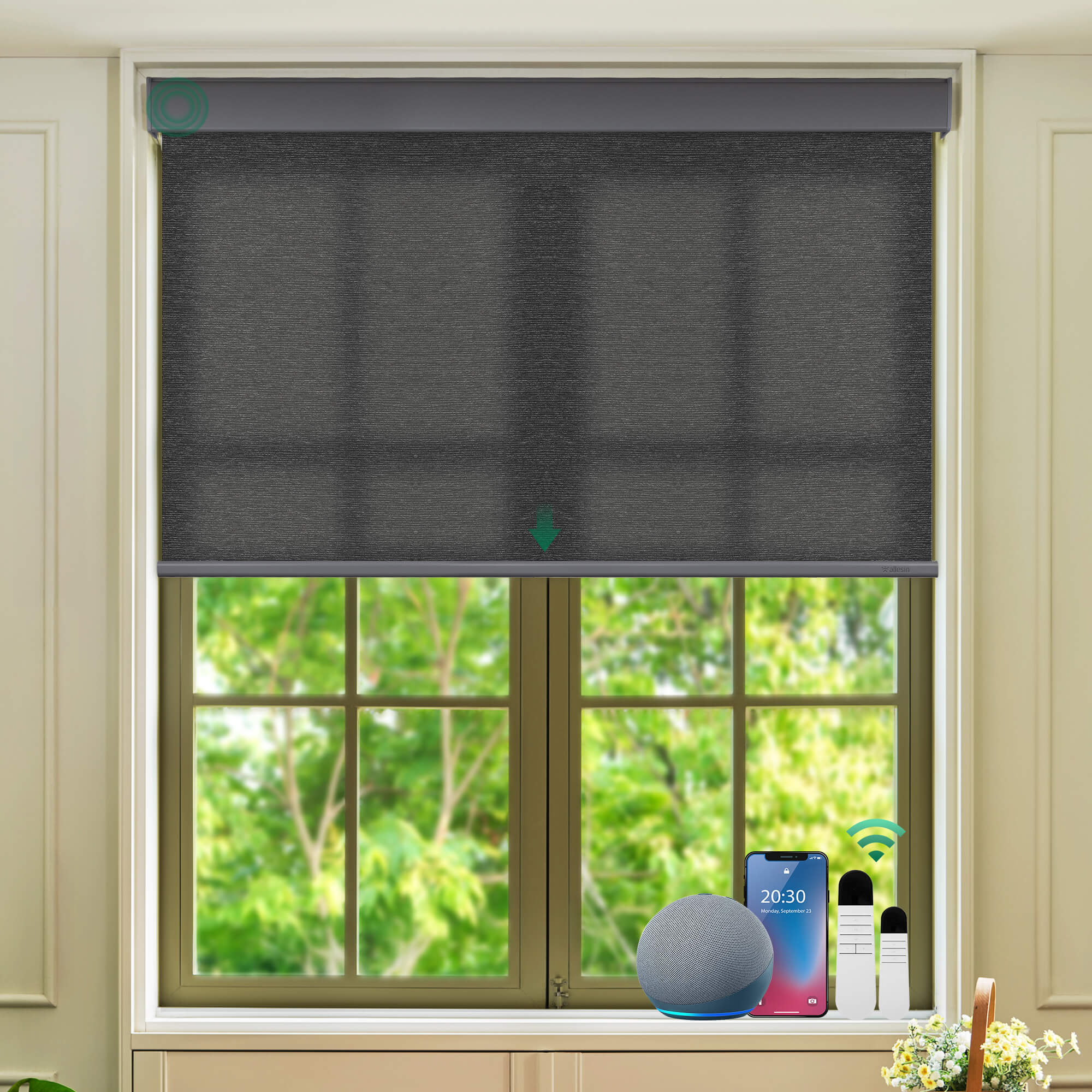 Allesin Select Motorized Light Filtering Roller Shades