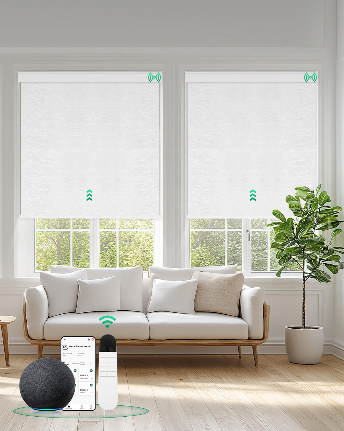 Allesin Motorized Blackout Roller Shades | Drill Needed | Standard Sizes