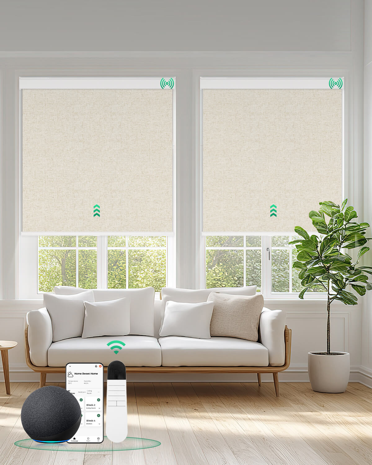 Allesin Motorized Blackout Roller Shades | Drill Needed | Standard Sizes