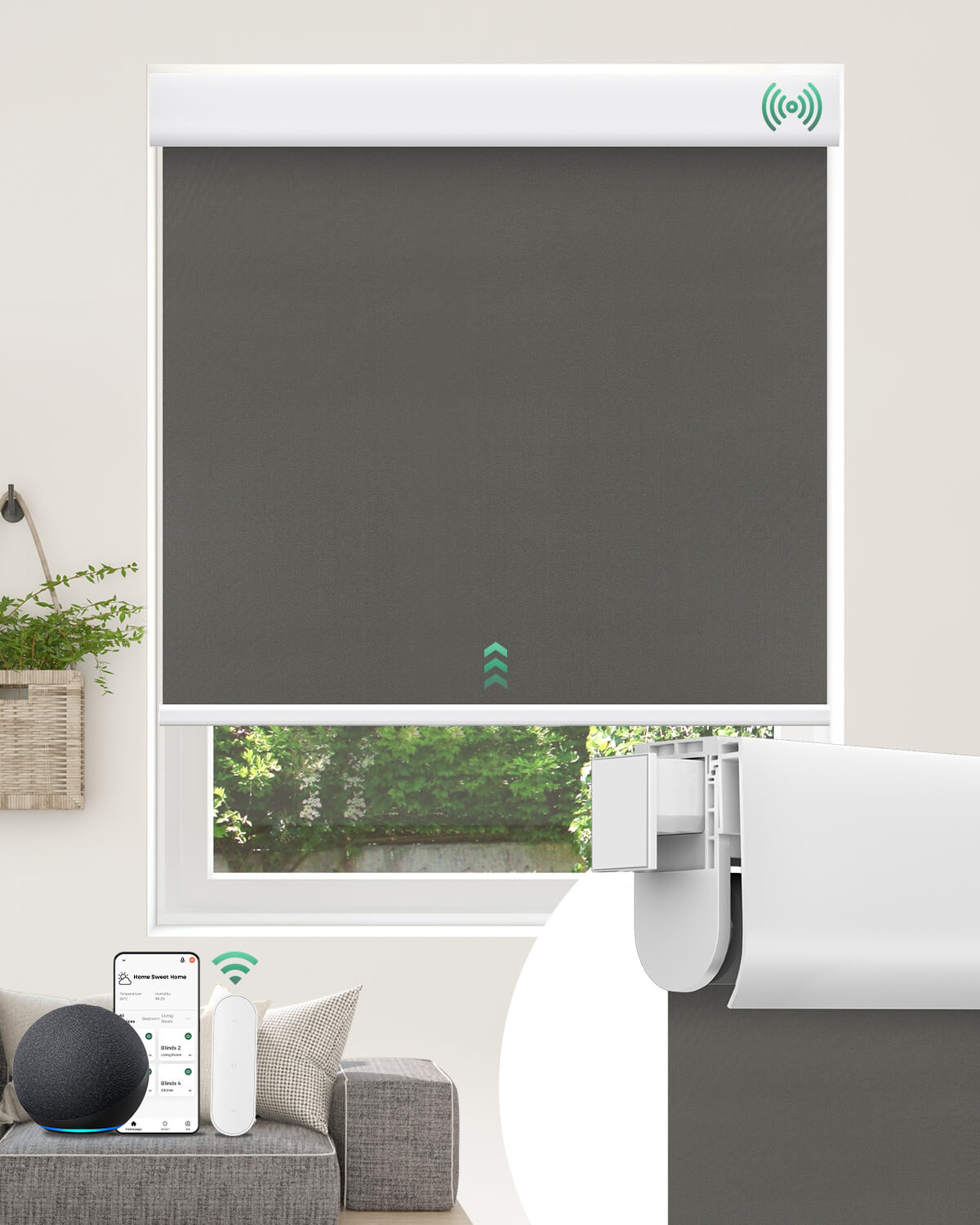 Allesin No-Drill Motorized Blackout Roller Shades | Standard Sizes