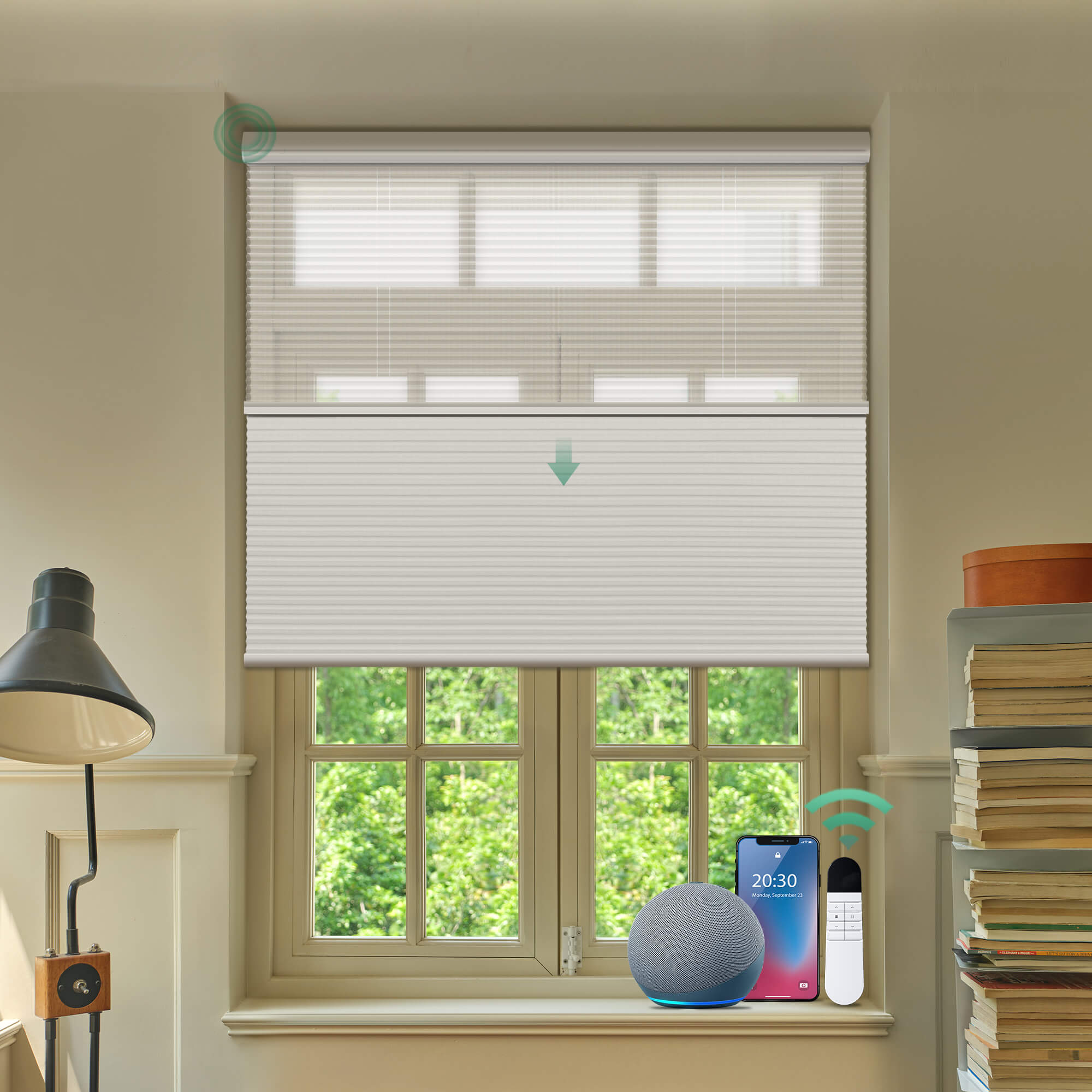 Allesin Prestige Motorized Day/Night Honeycomb Shades