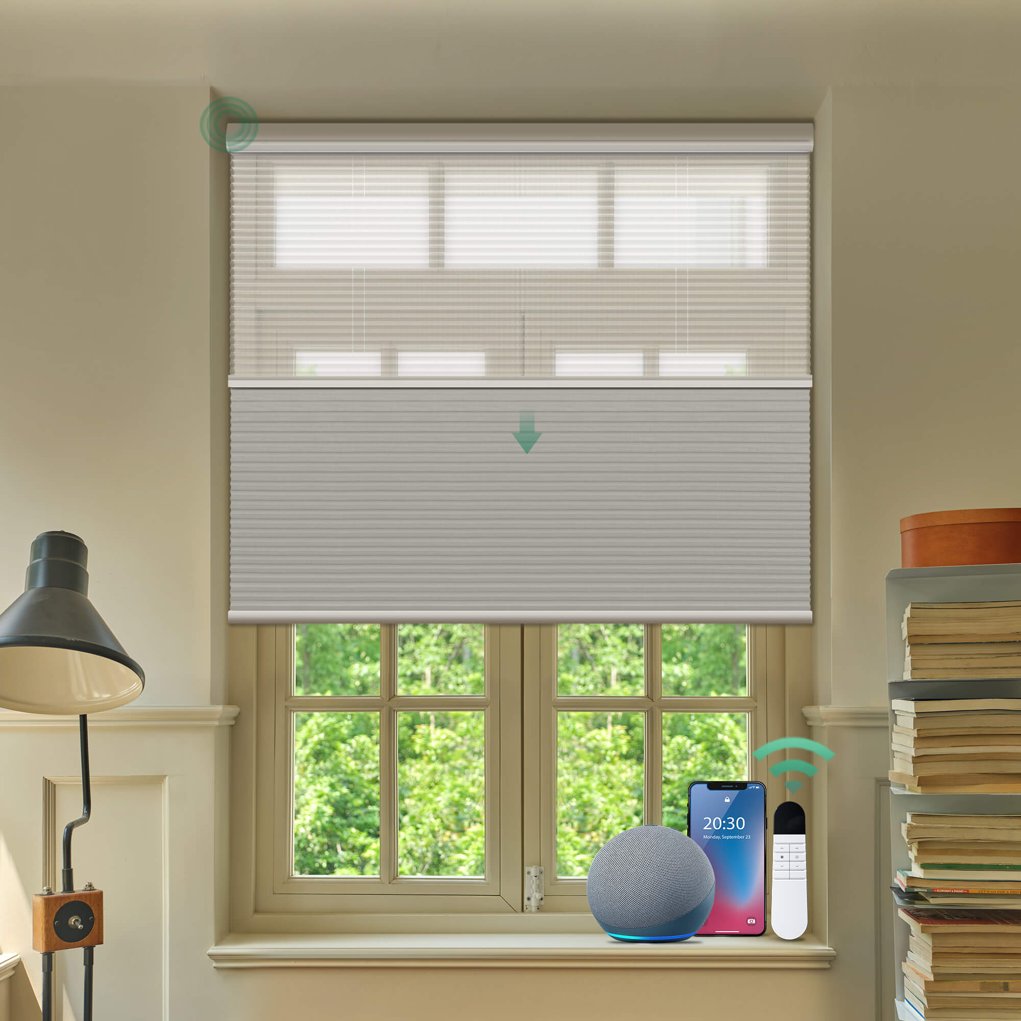 Allesin Prestige Motorized Day/Night Honeycomb Shades