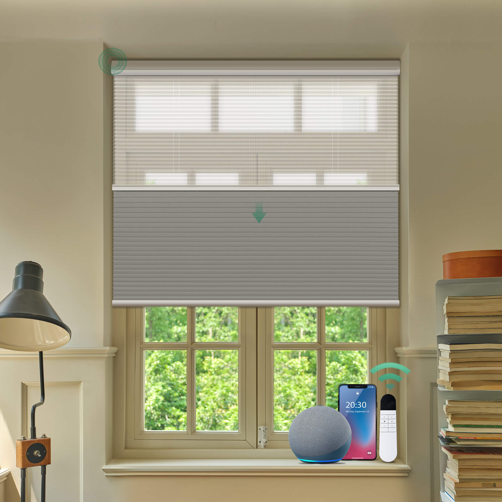 Allesin Prestige Motorized Day/Night Honeycomb Shades