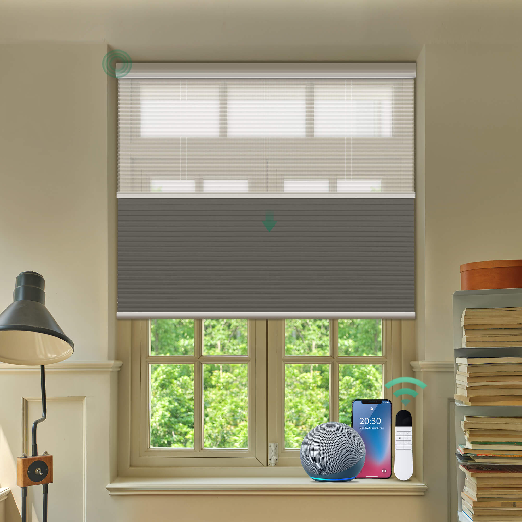 Allesin Prestige Motorized Day/Night Honeycomb Shades