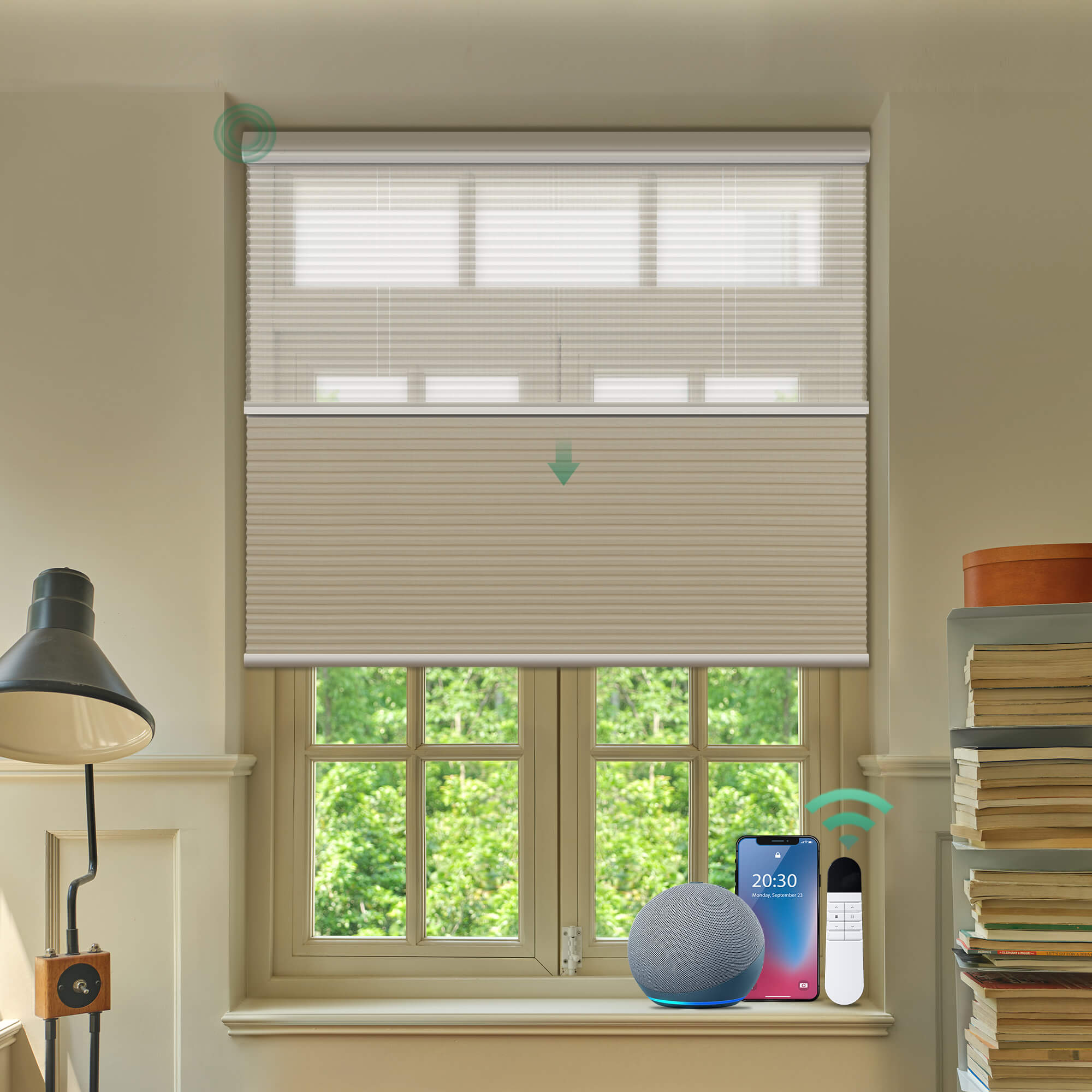 Allesin Prestige Motorized Day/Night Honeycomb Shades