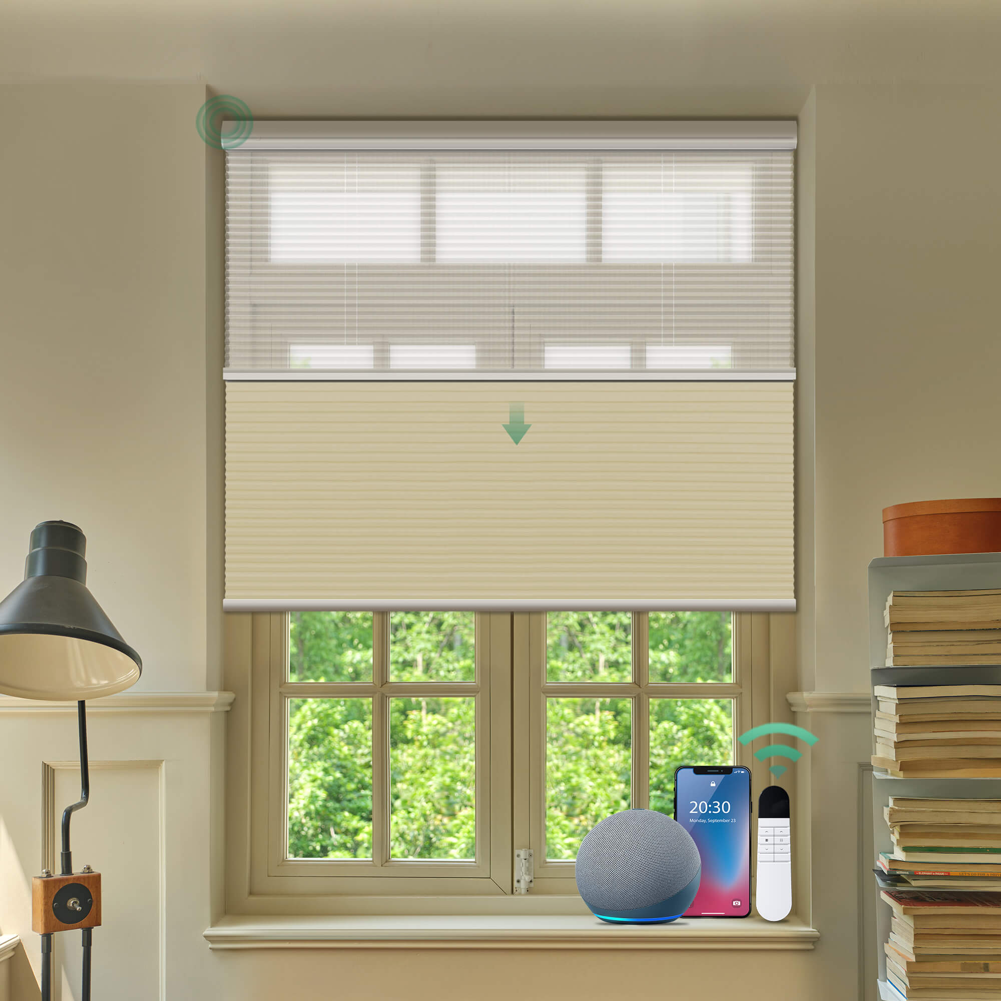 Allesin Prestige Motorized Day/Night Honeycomb Shades