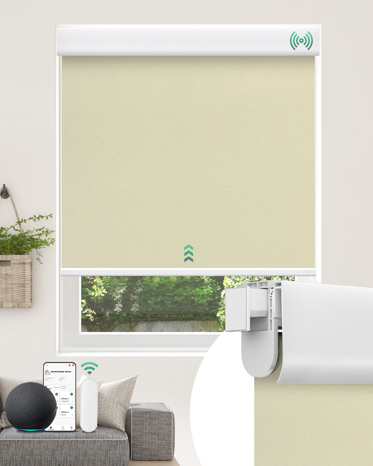 Allesin No-Drill Motorized Blackout Roller Shades | Standard Sizes