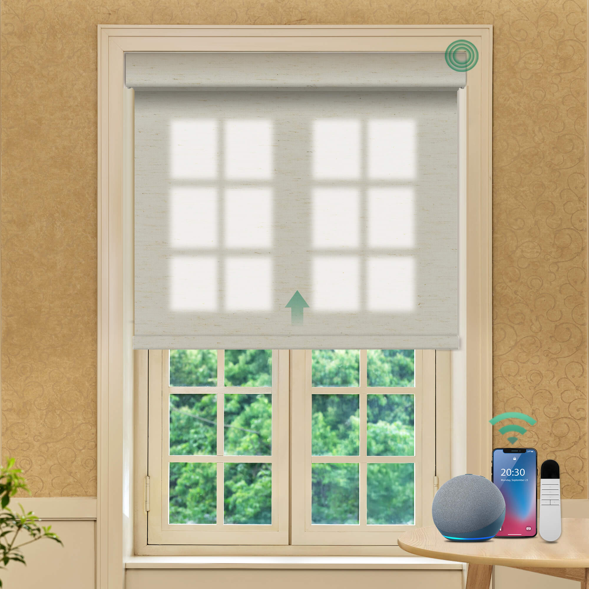 Allesin Prestige Motorized Light Filtering Roller Shades
