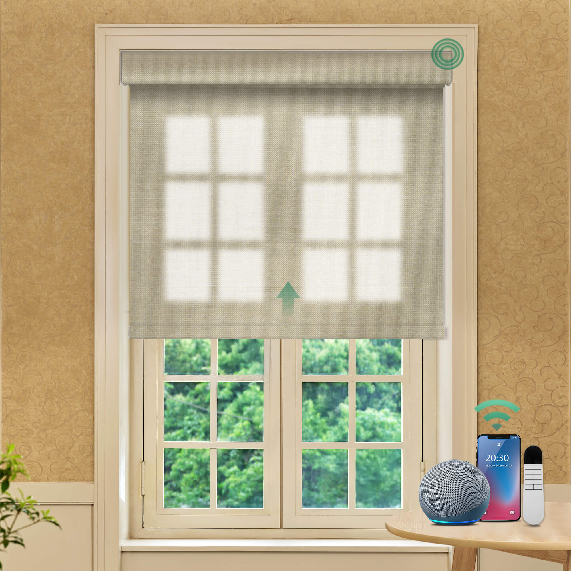 Allesin Prestige Motorized Light Filtering Roller Shades