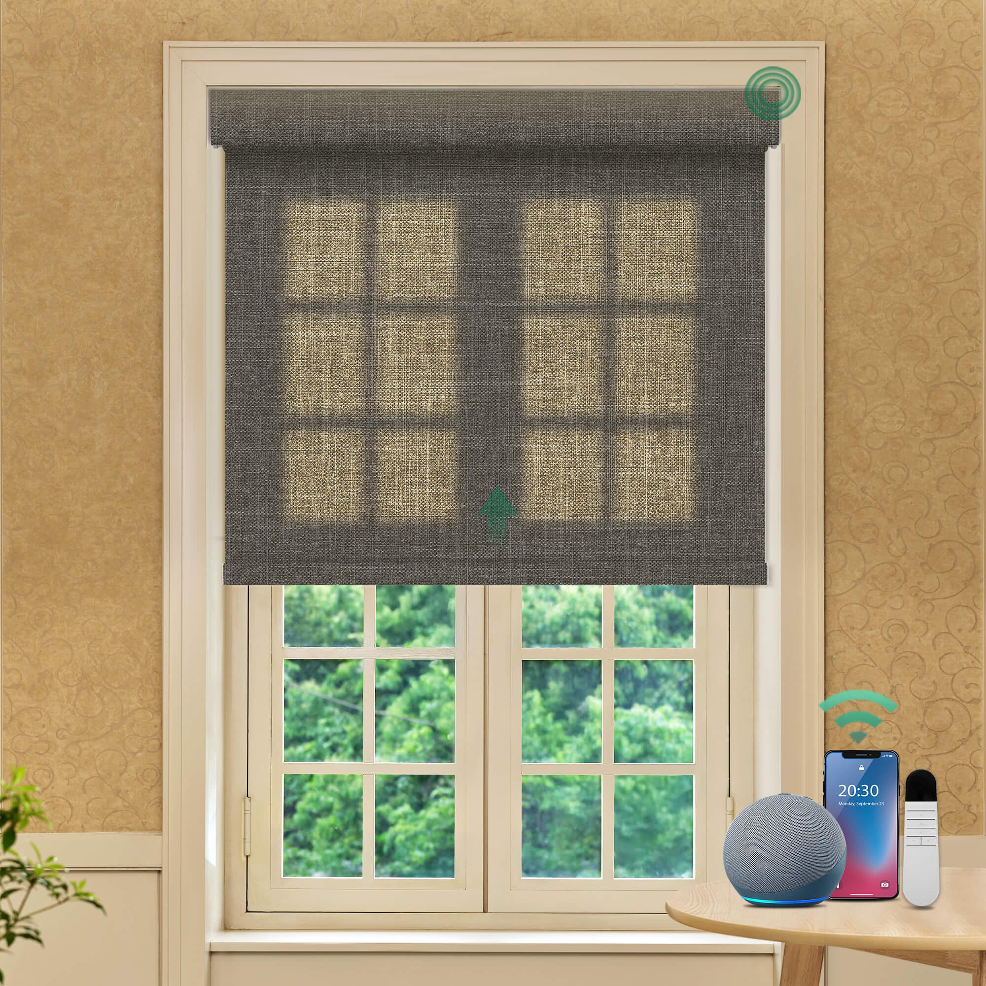 Allesin Prestige Motorized Light Filtering Roller Shades