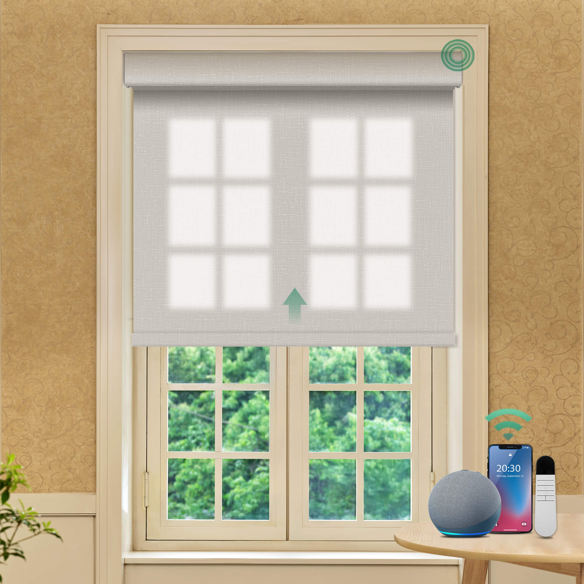 Allesin Prestige Motorized Light Filtering Roller Shades