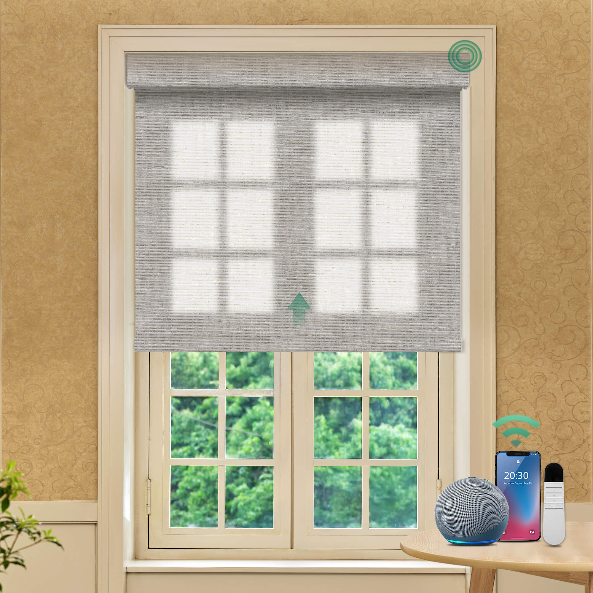 Allesin No-Drill Motorized Roller Shades | Light Filtering