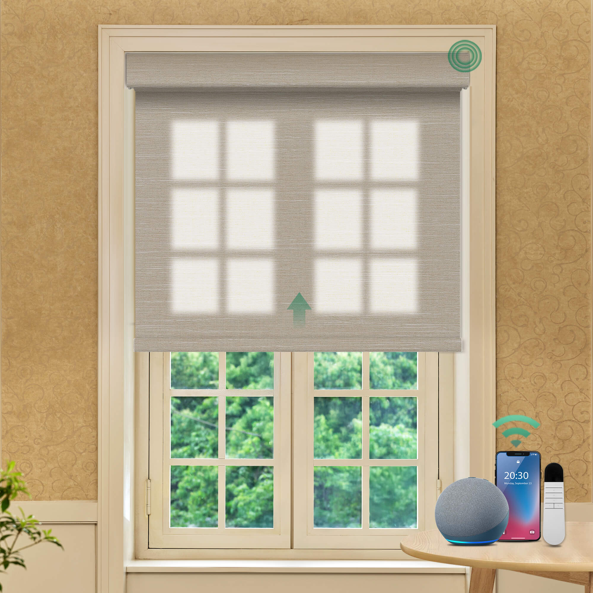 Allesin Prestige Motorized Light Filtering Roller Shades