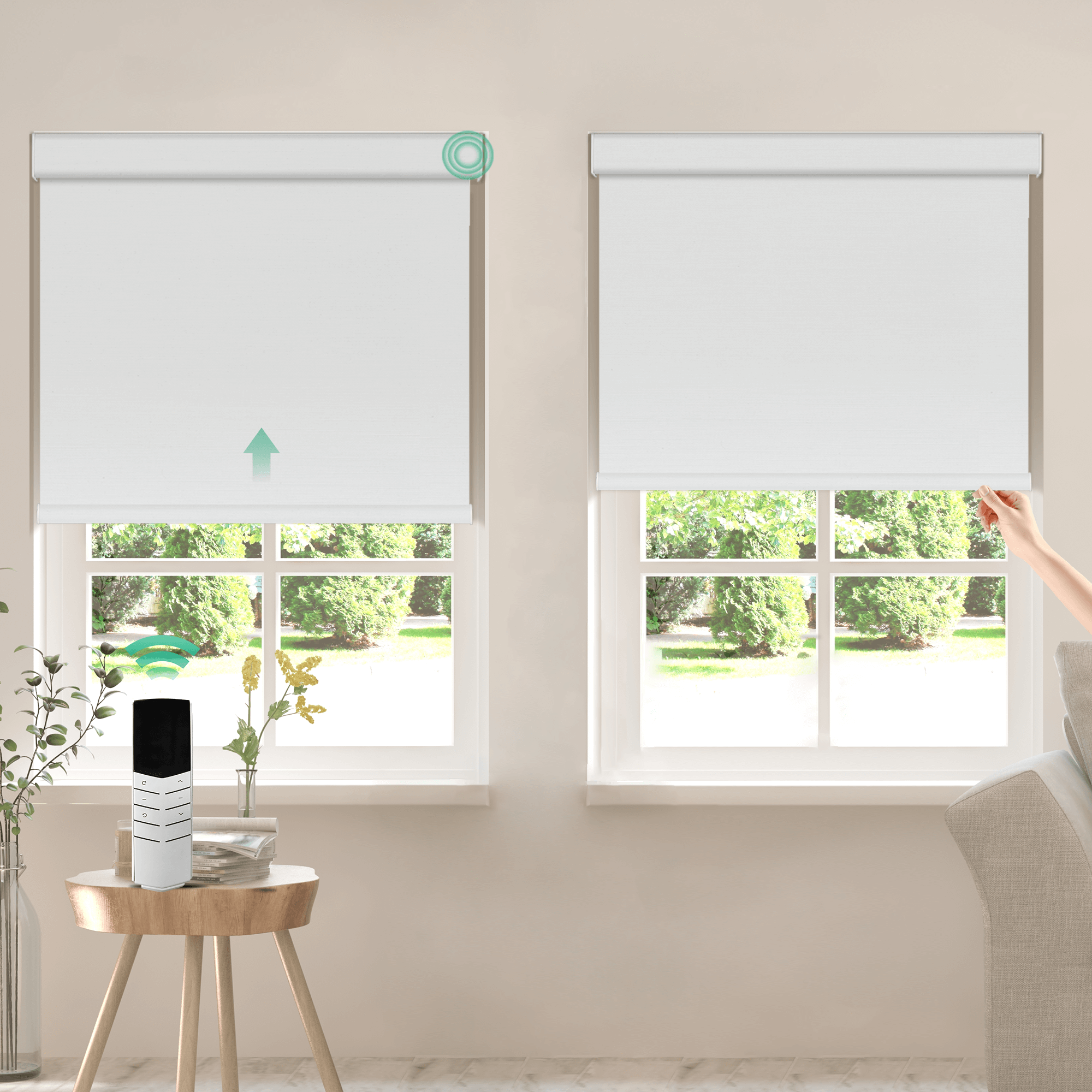 Allesin Dual-Control Blackout Roller Shades | Remote & Manual