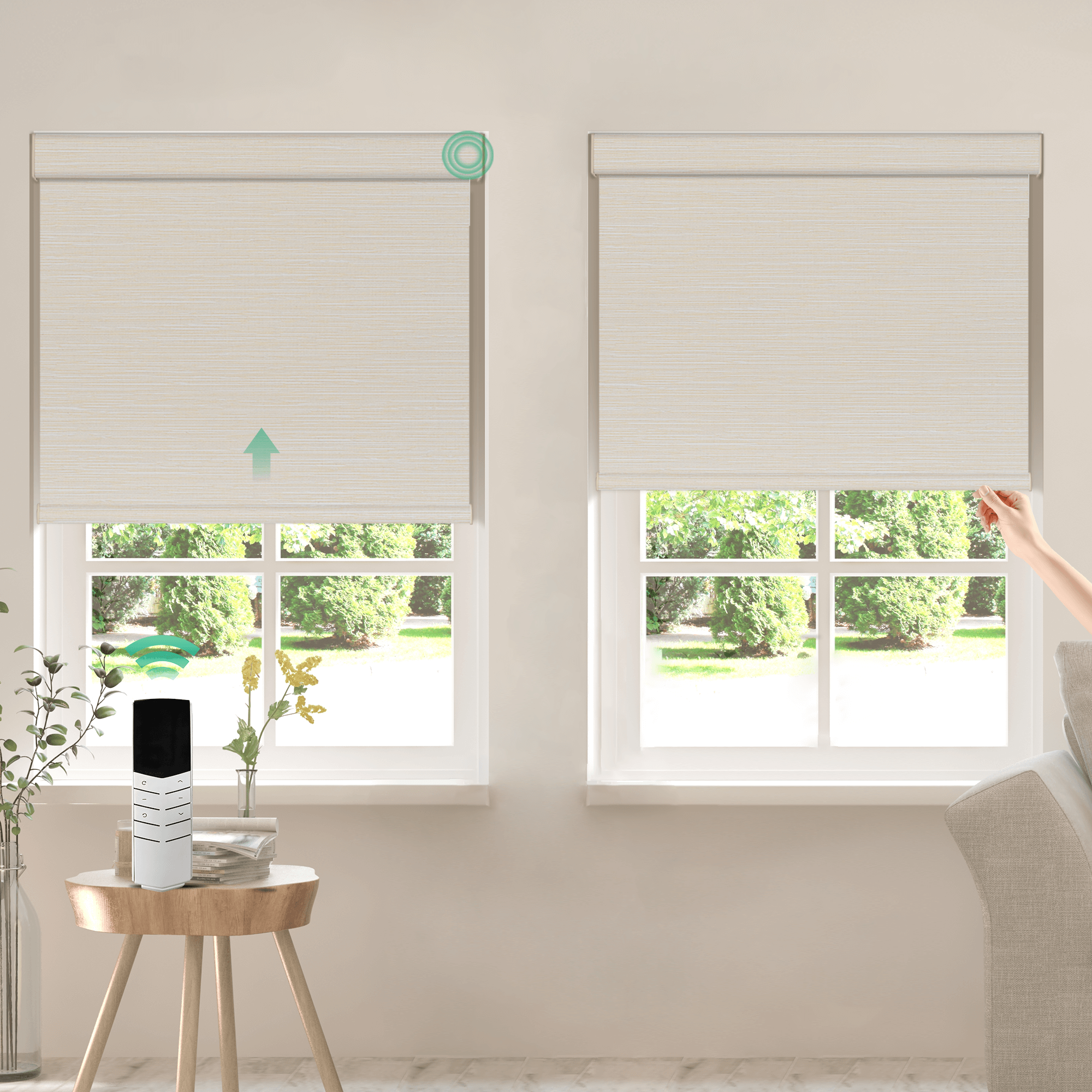 Allesin Dual-Control Blackout Roller Shades | Remote & Manual