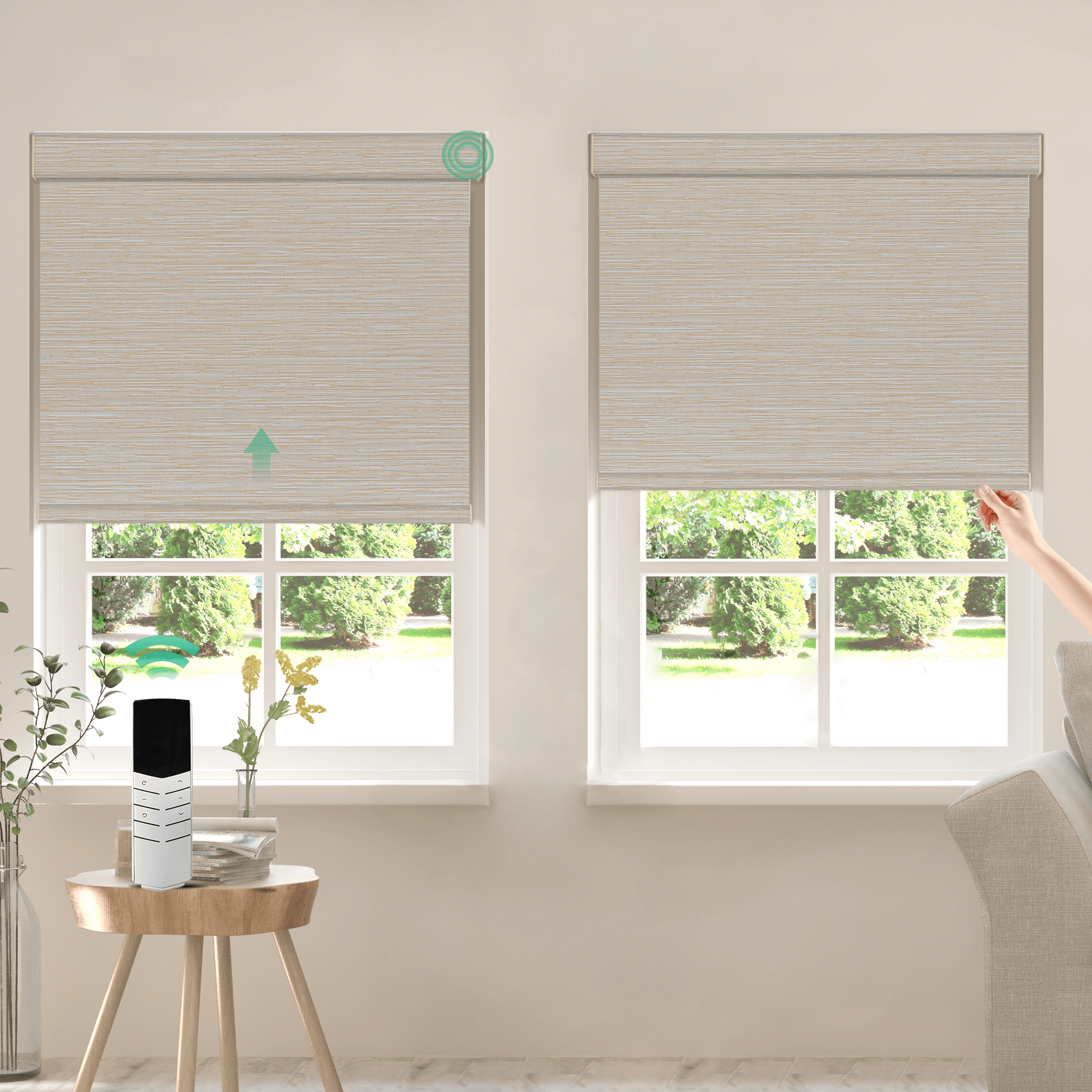 Allesin Dual-Control Blackout Roller Shades | Remote & Manual