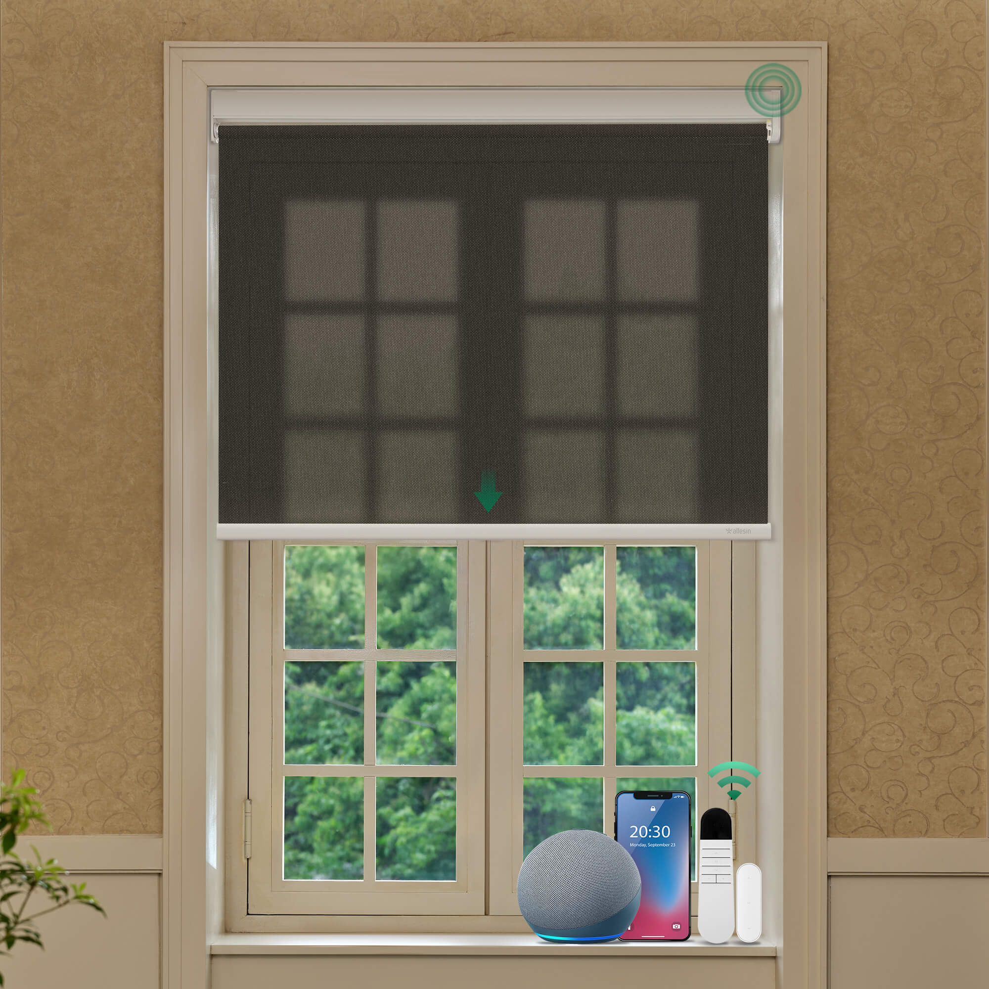 Allesin No-Drill Motorized Roller Shades | Light Filtering