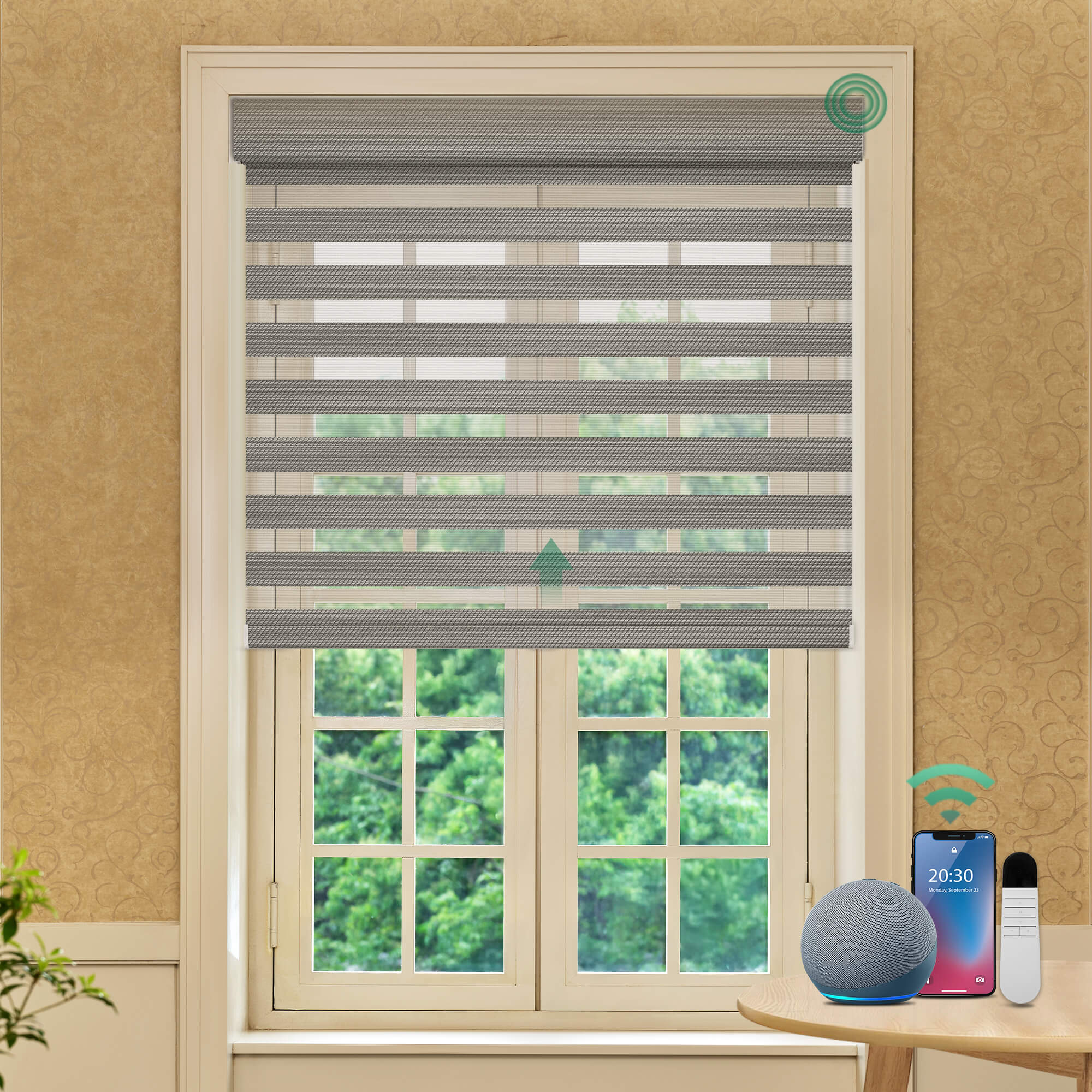 Allesin Motorized Zebra Shades