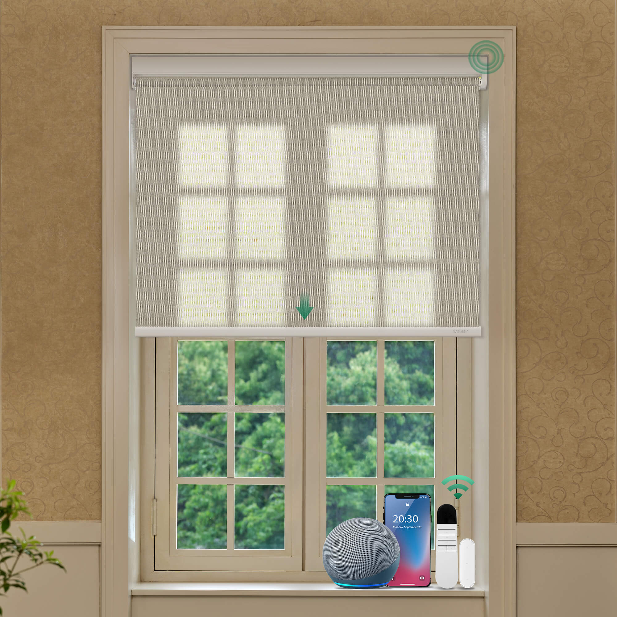 Allesin No-Drill Motorized Roller Shades | Light Filtering