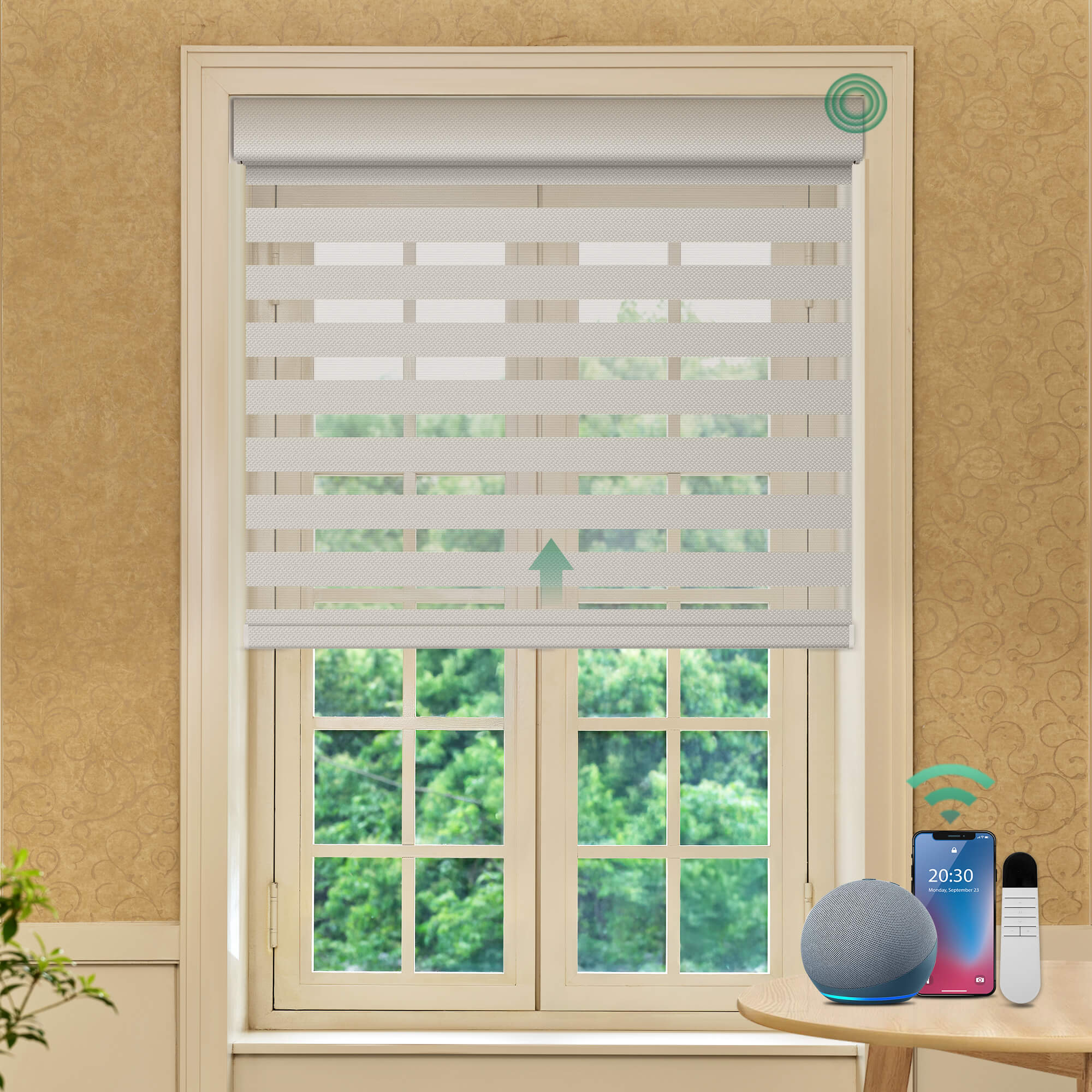 Allesin Motorized Zebra Blinds