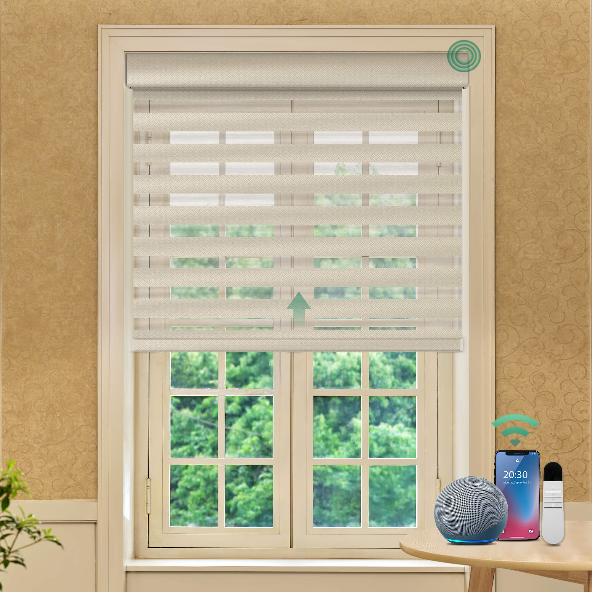 Allesin Motorized Zebra Shades