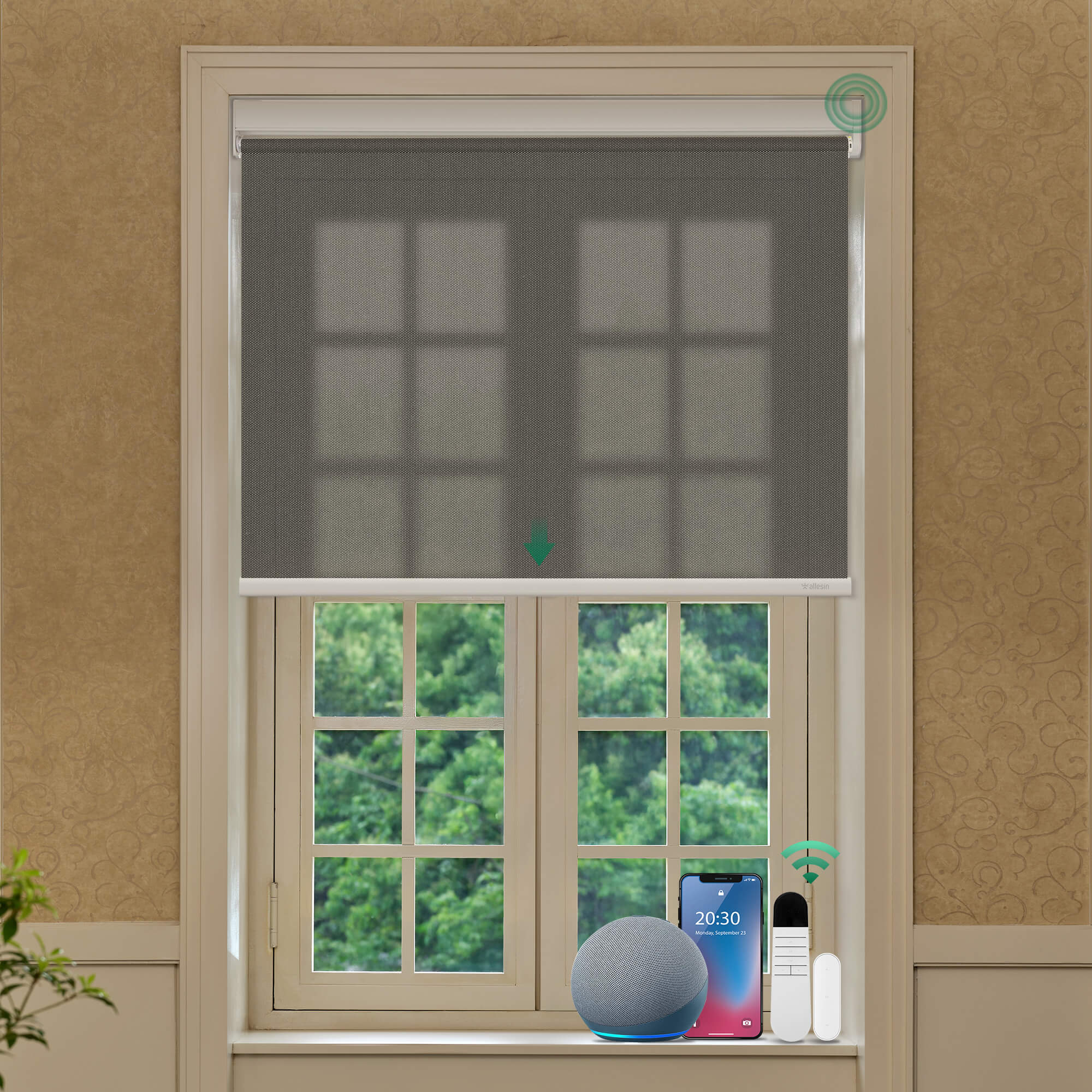 Allesin No-Drill Motorized Roller Shades | Light Filtering