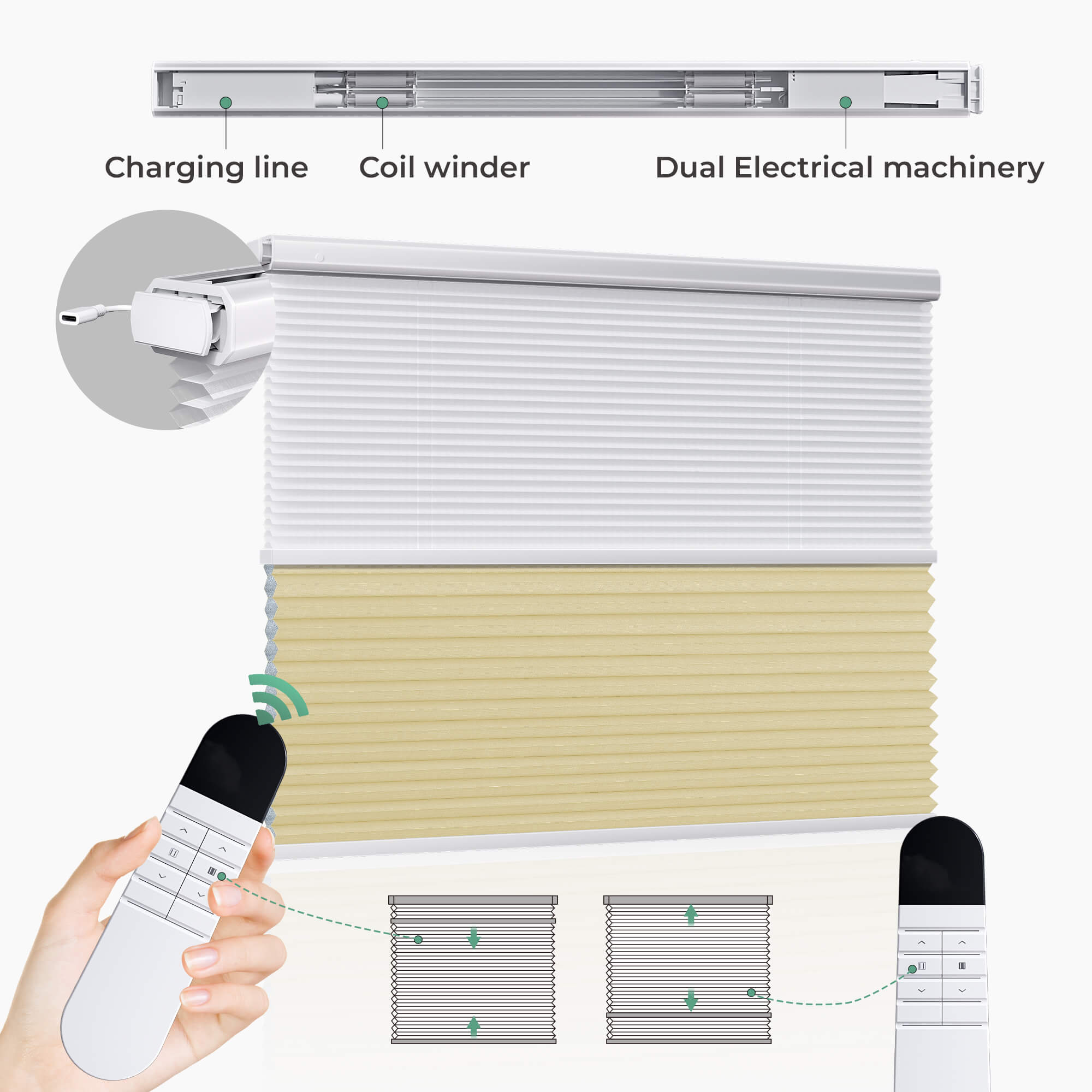 Allesin Prestige Motorized Day/Night Honeycomb Shades