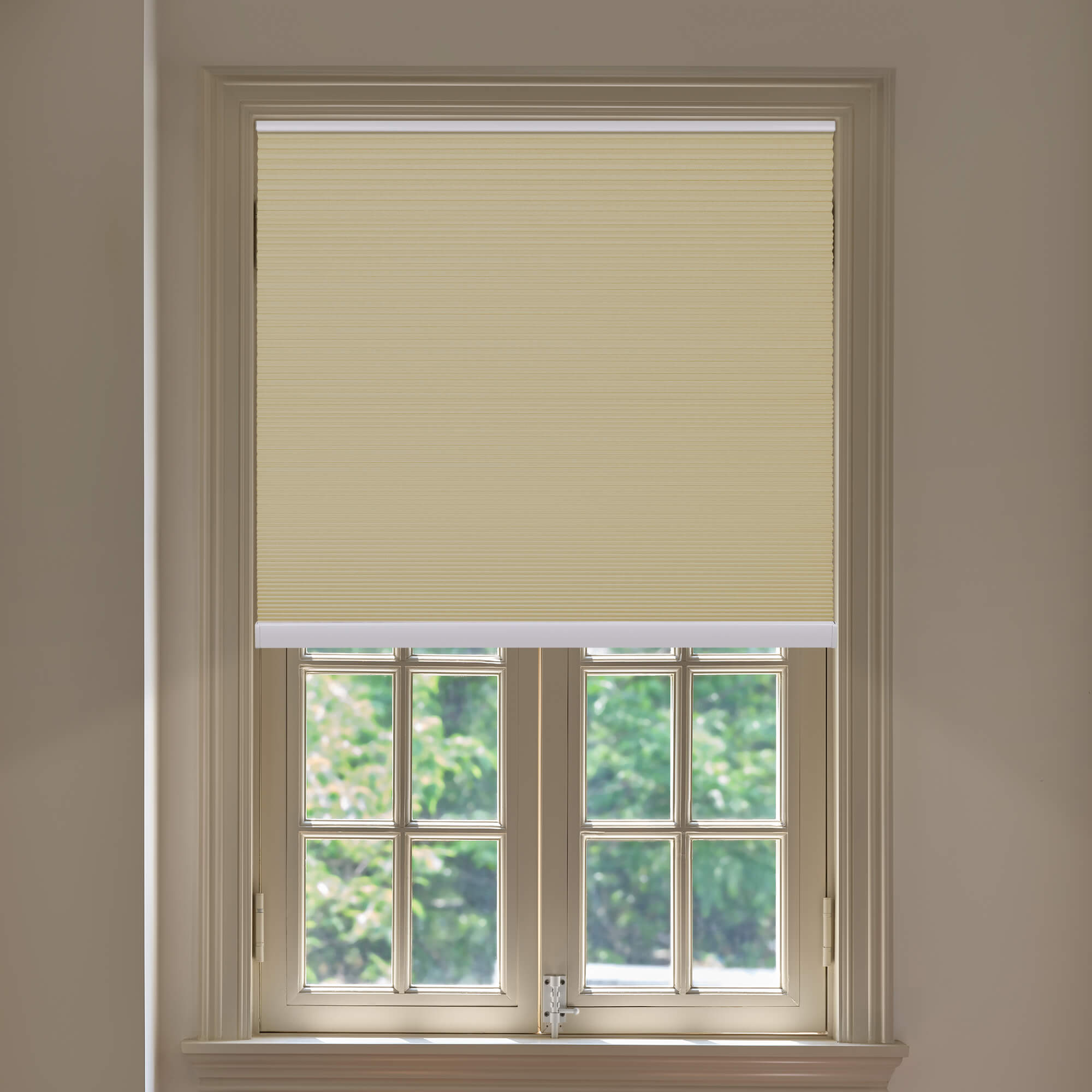 Allesin Blackout Honeycomb Shades | Bottom-mounted Motor