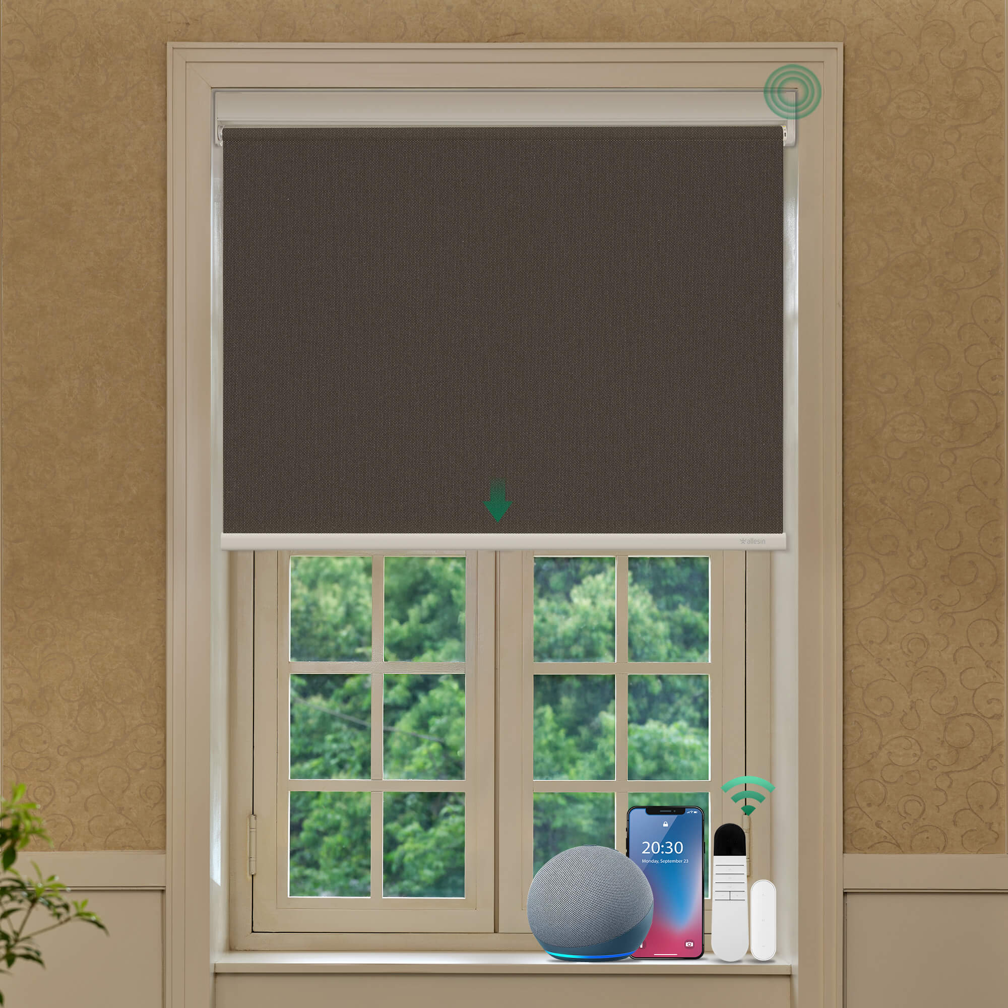 Allesin Best-Value Motorized Blackout Roller Shades