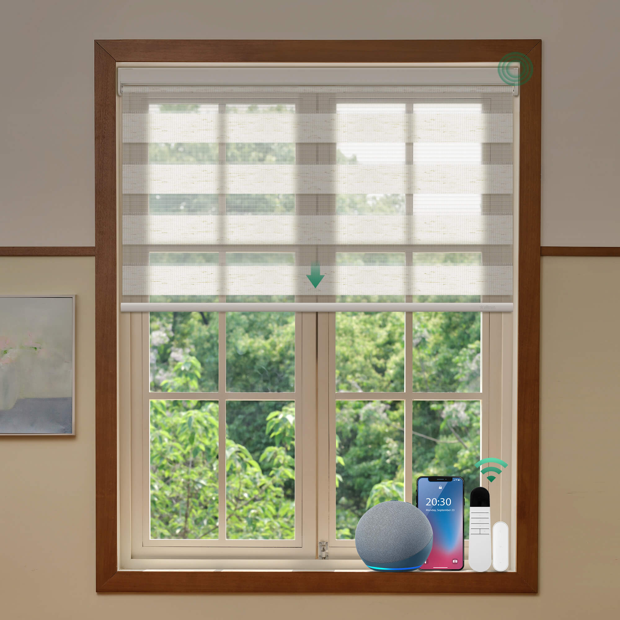 Allesin Motorized Zebra Shades