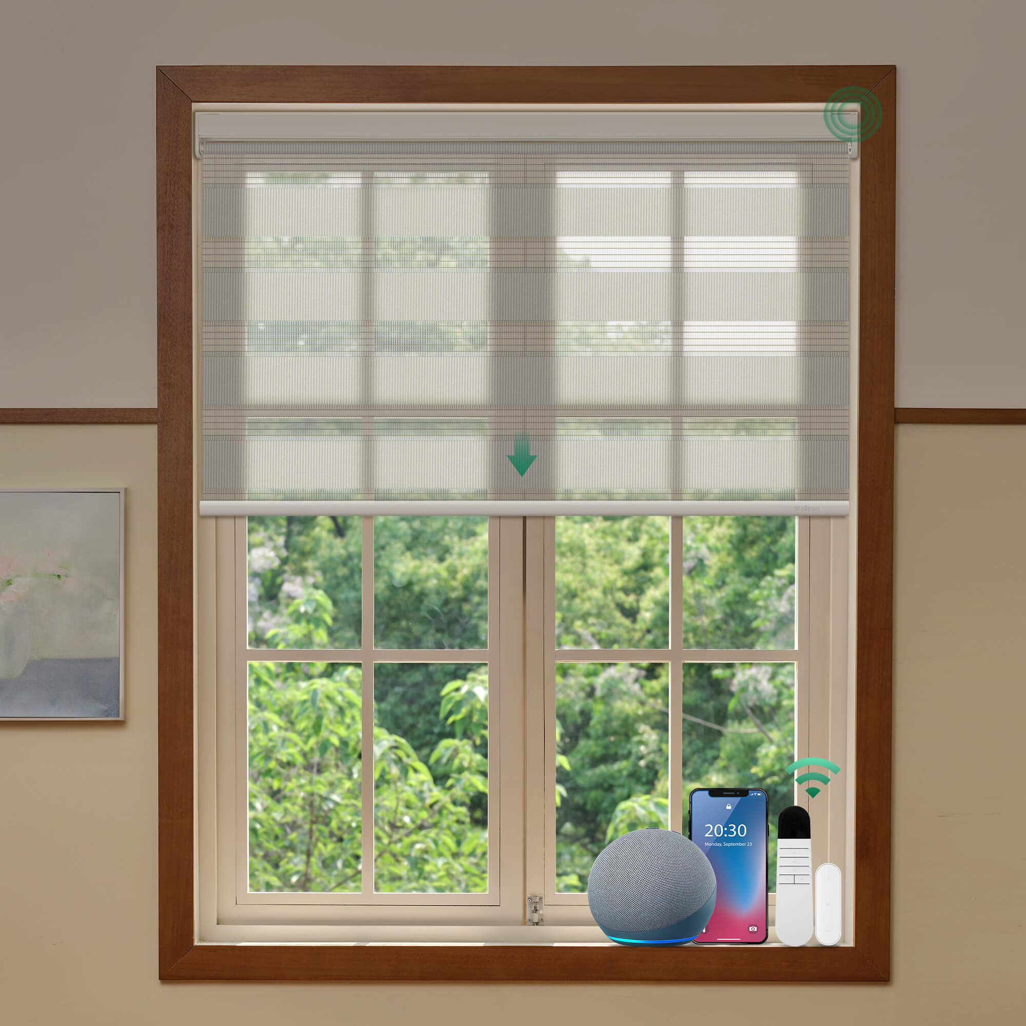 Allesin Motorized Zebra Shades