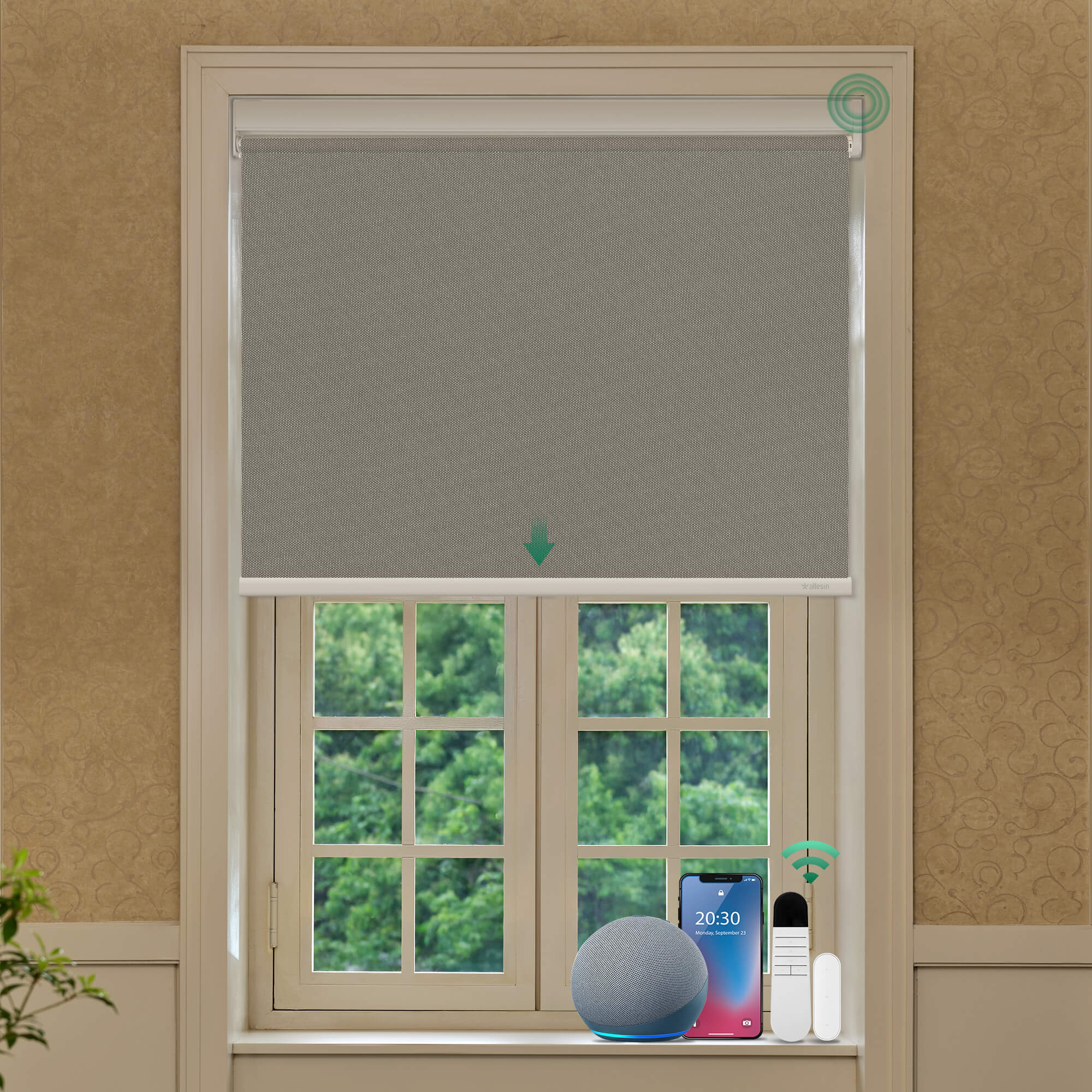 Allesin Best-Value Motorized Blackout Roller Shades