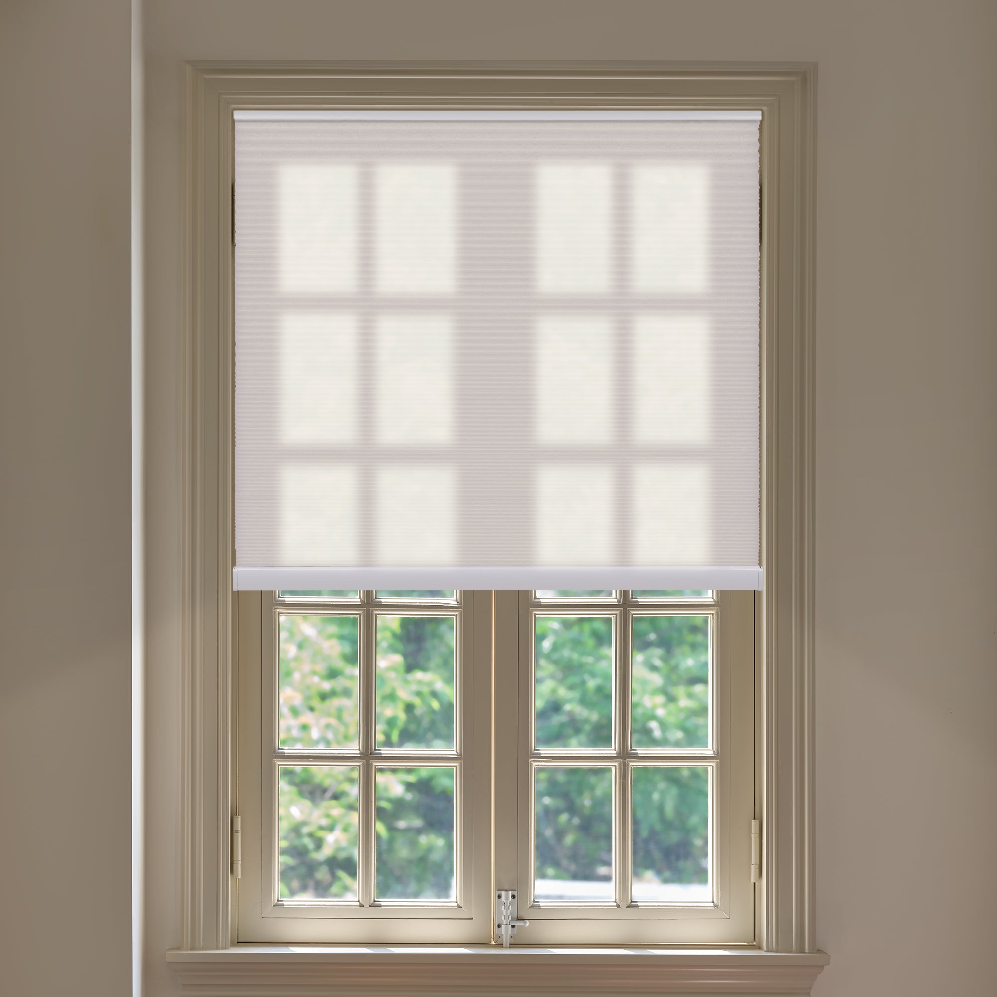 Allesin Light Filtering Honeycomb Shades | Bottom-mounted Motor