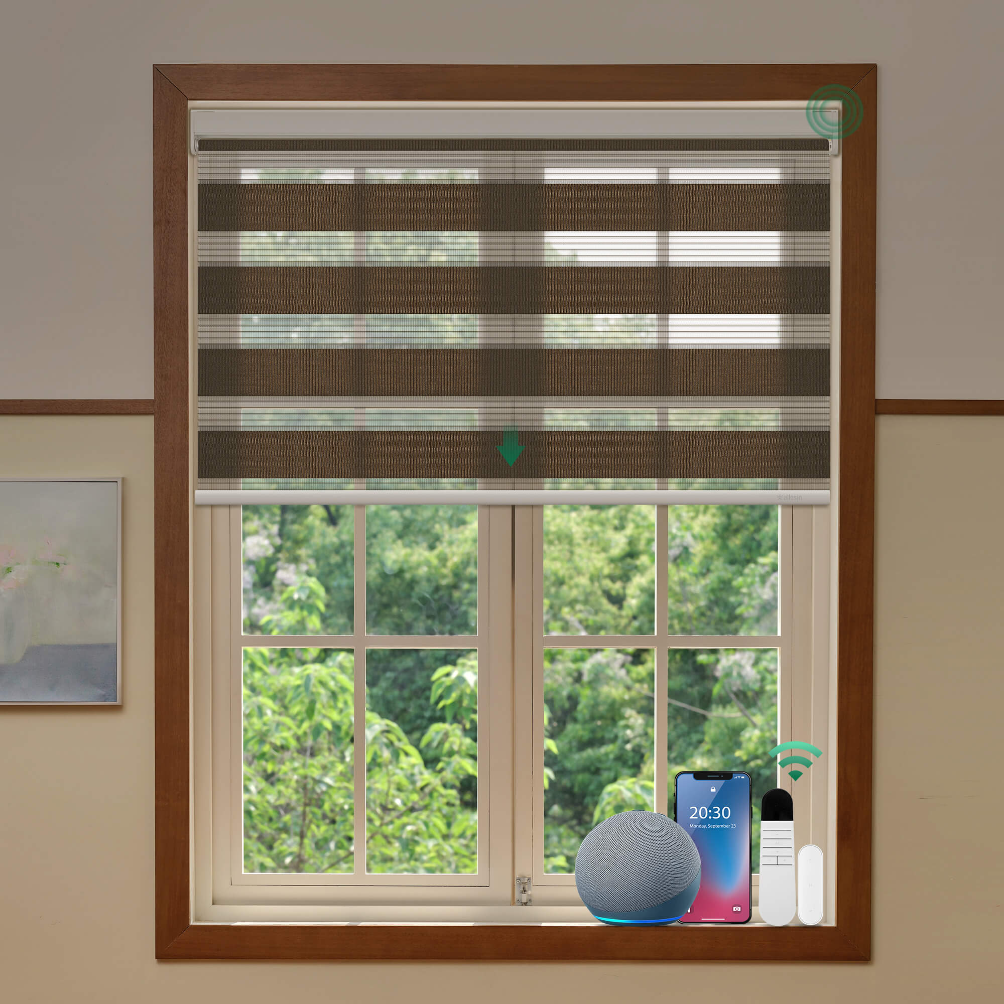 Allesin Best-Value Motorized Zebra Shades