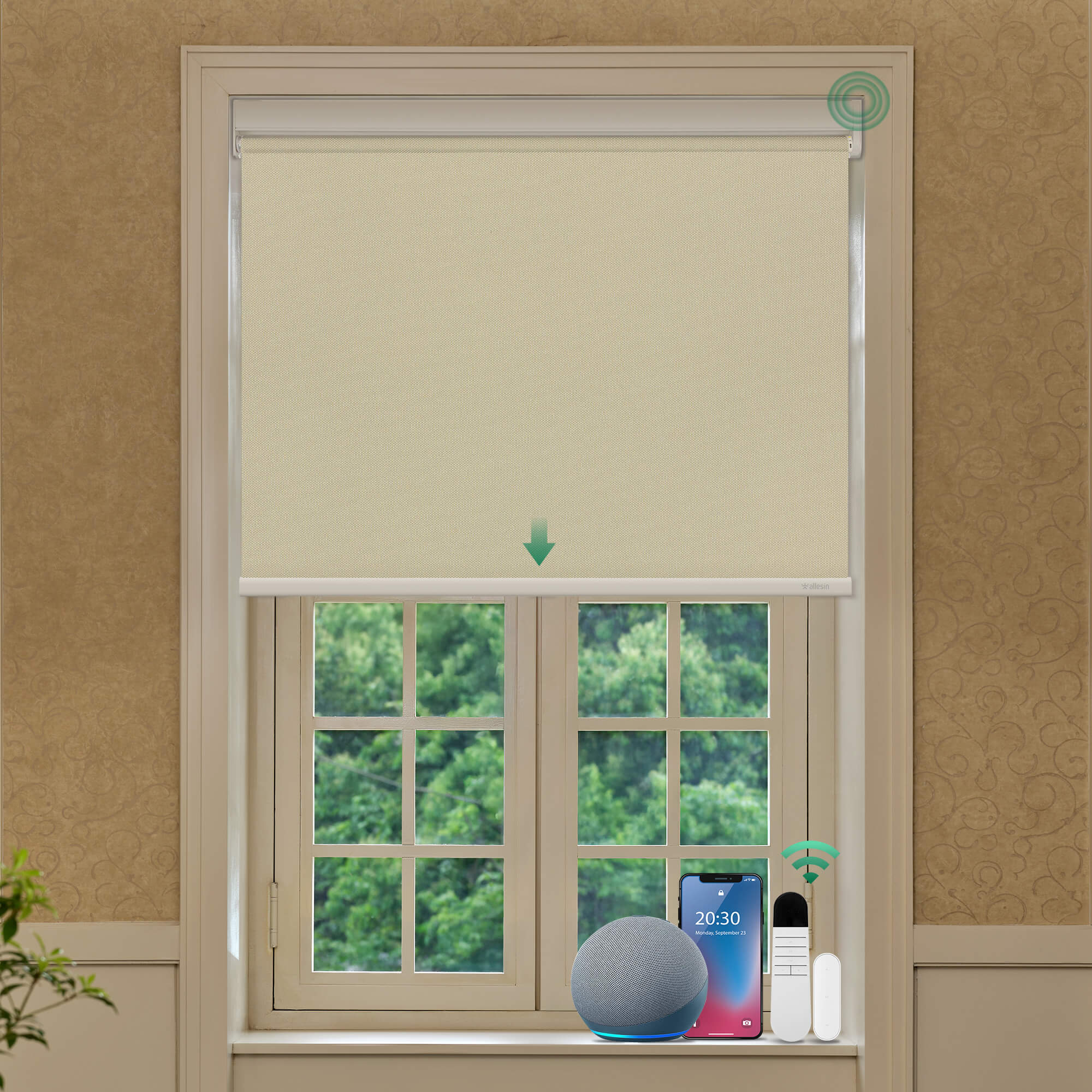 Allesin Best-Value Motorized Blackout Roller Shades