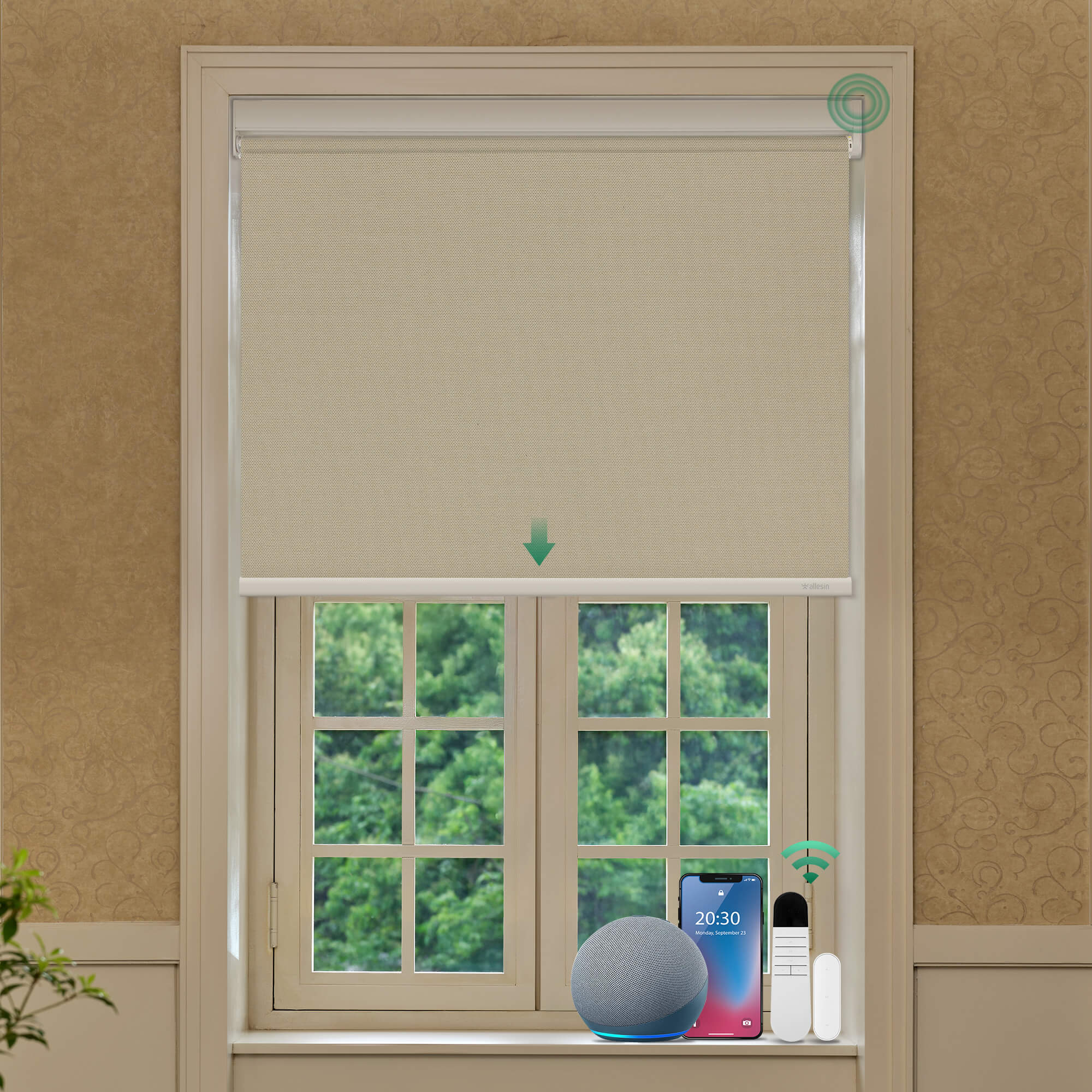 Allesin Best-Value Motorized Blackout Roller Shades