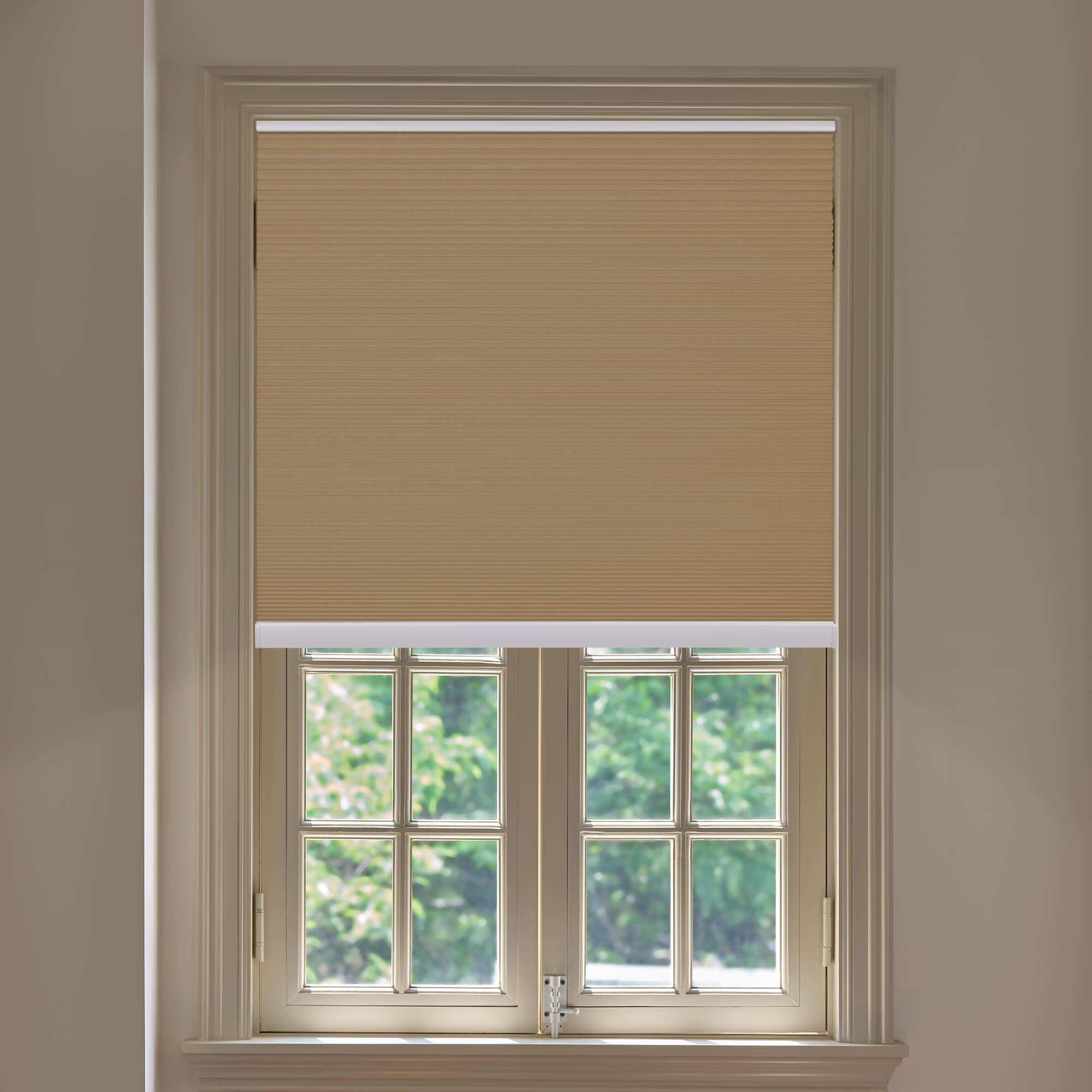 Allesin Blackout Honeycomb Shades | Bottom-mounted Motor