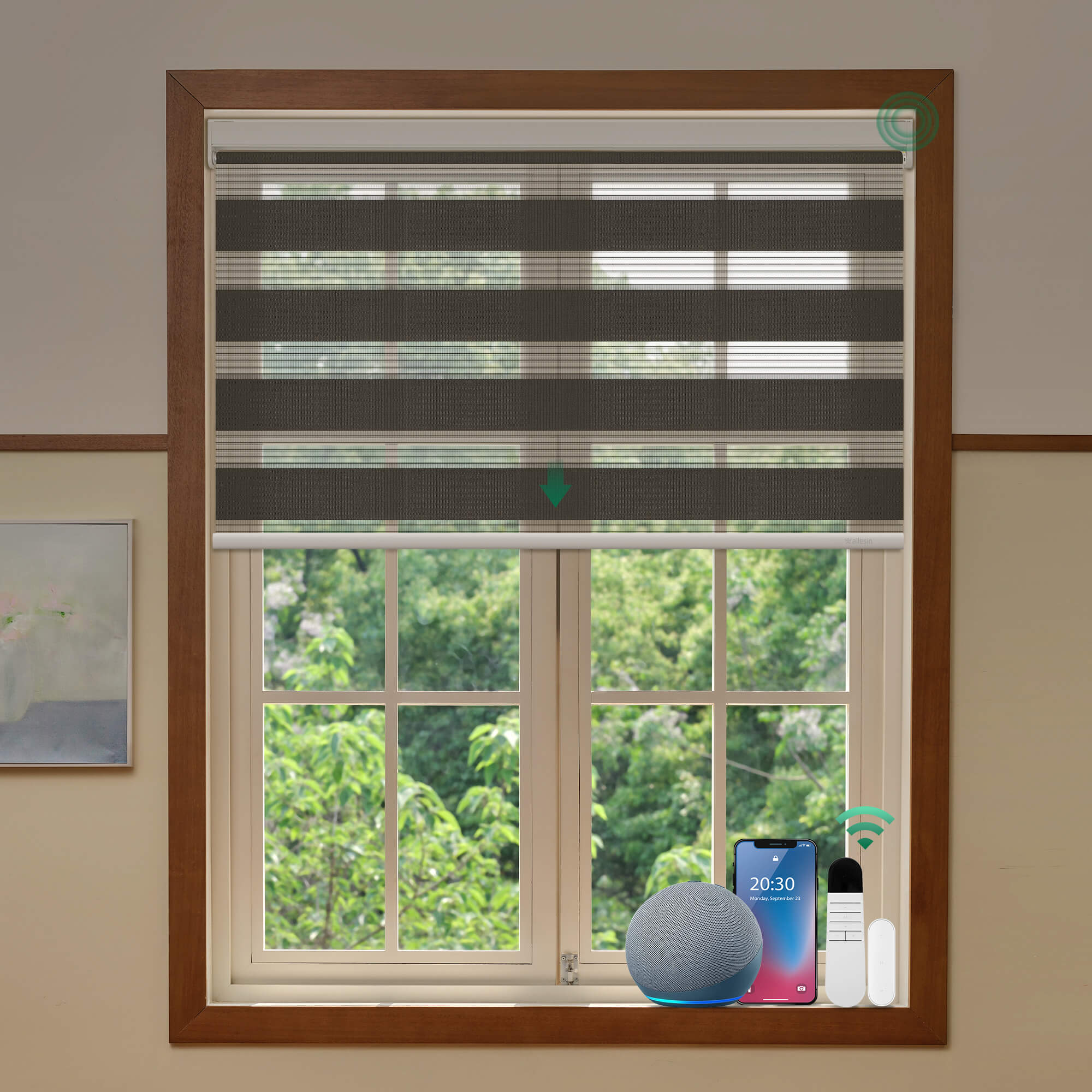 Allesin No-Drill Motorized Zebra Shades
