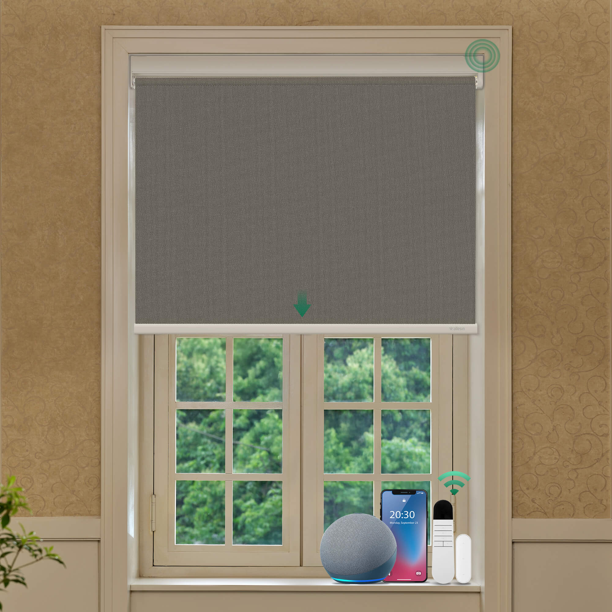 Allesin Best-Value Motorized Blackout Roller Shades