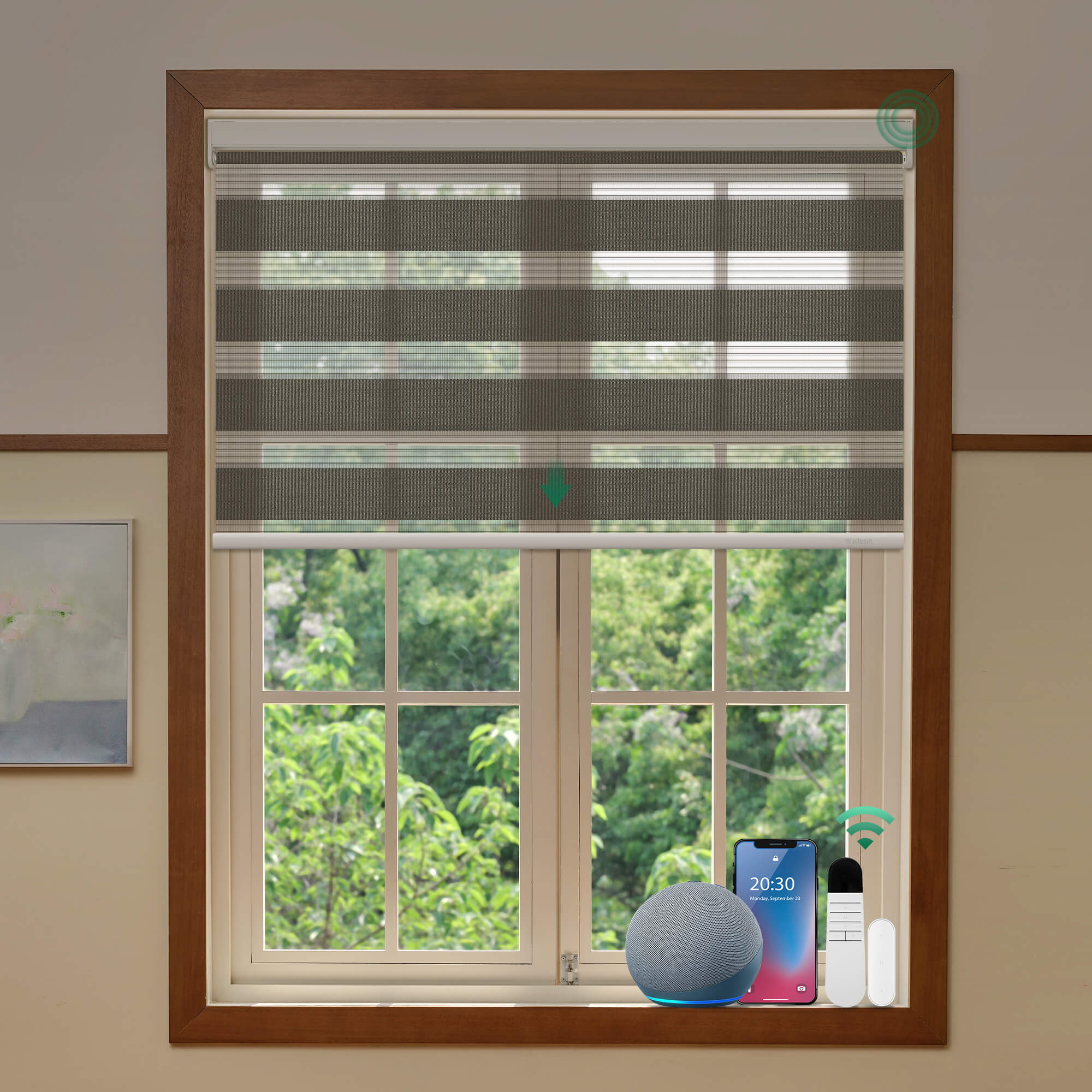 Allesin Best-Value Motorized Zebra Shades
