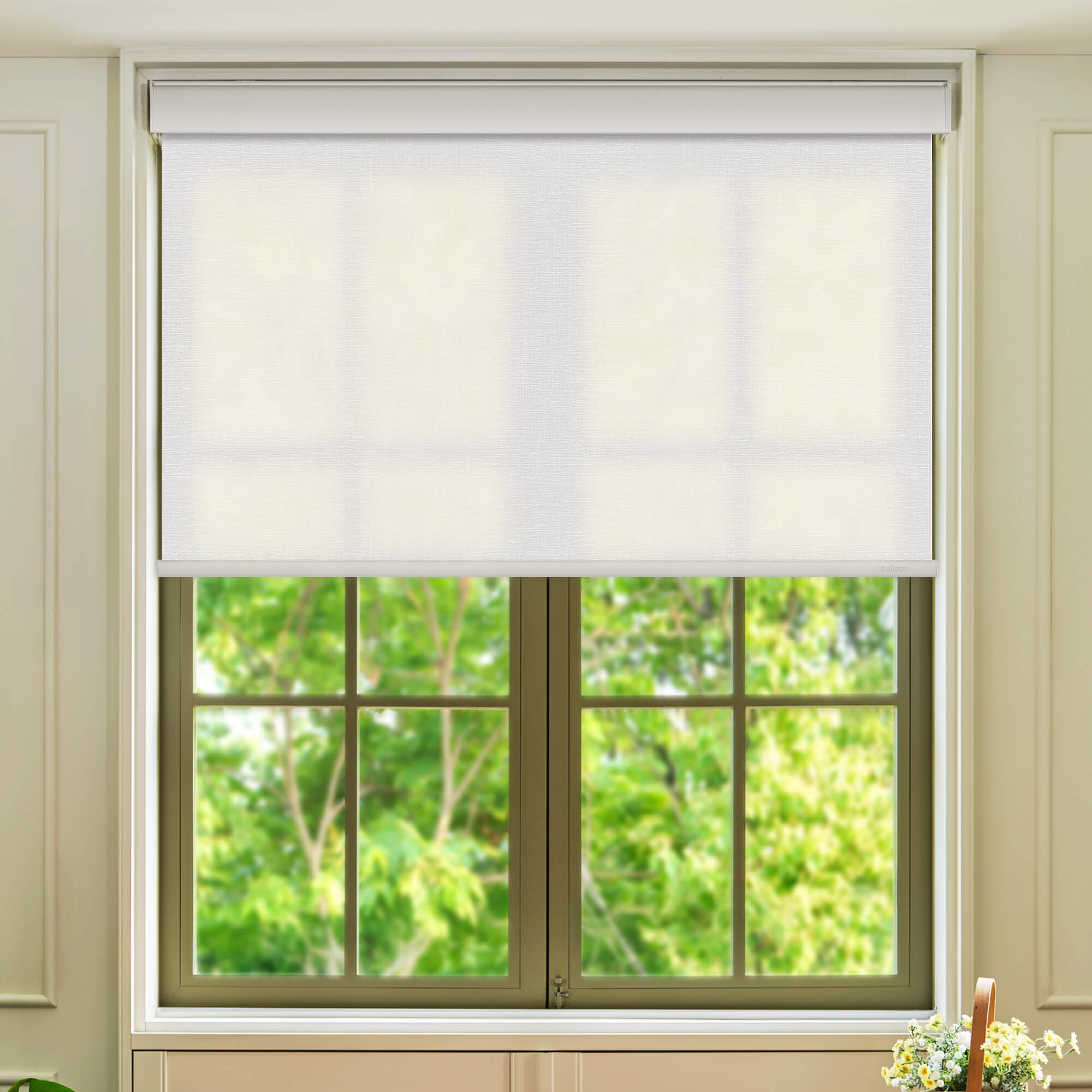 Allesin Select Motorized Light Filtering Roller Shades