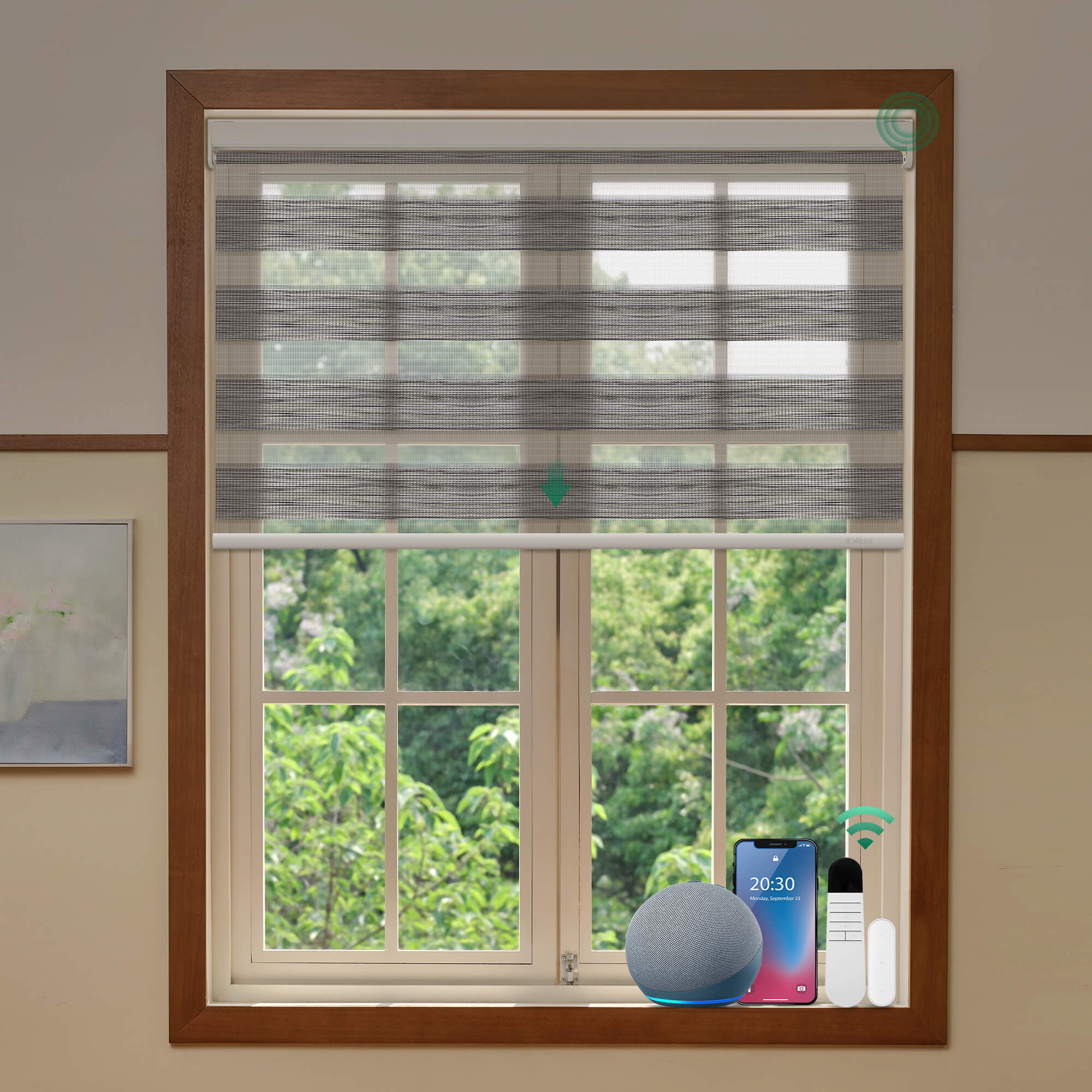 Allesin Motorized Zebra Shades