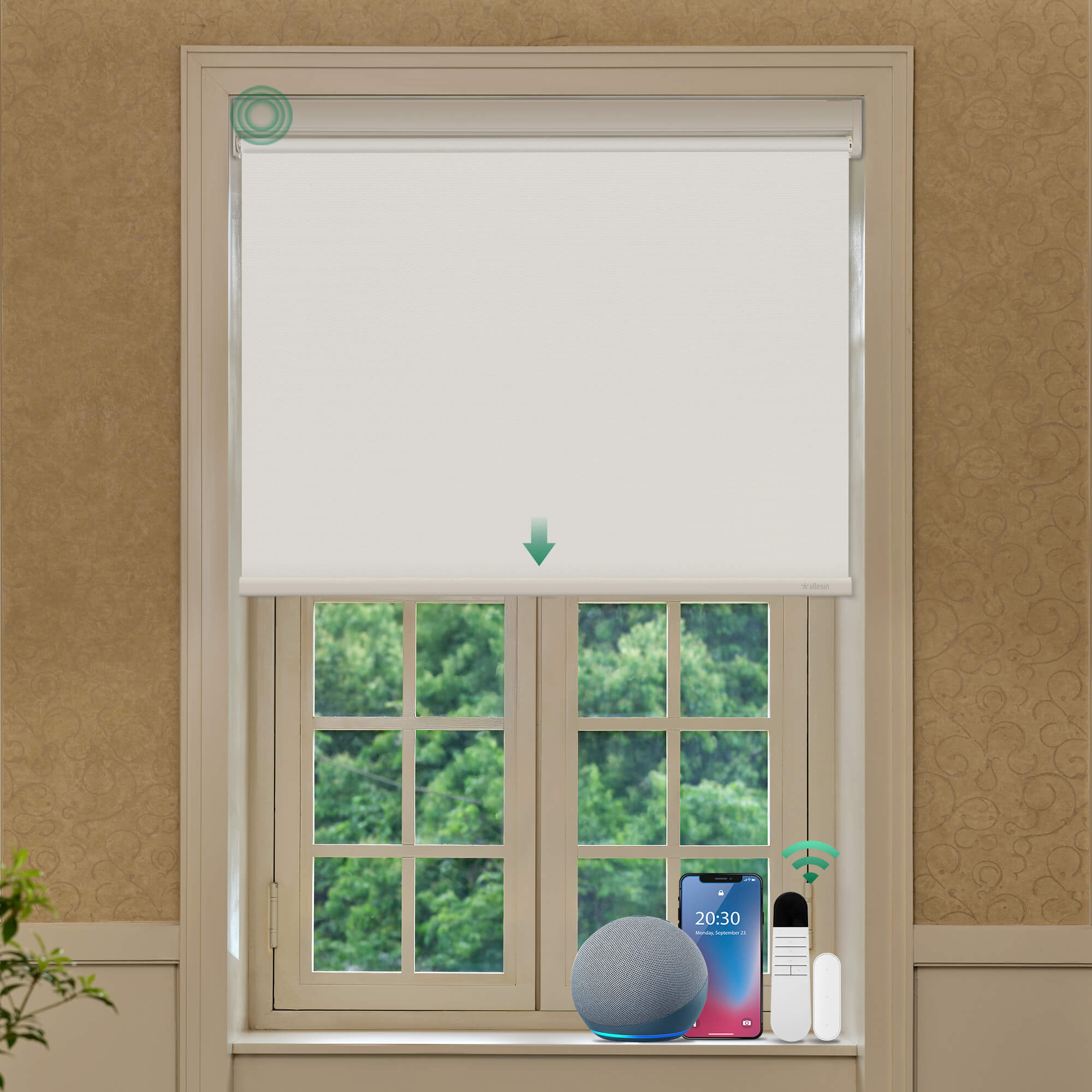 Allesin Best-Value Motorized Blackout Roller Shades