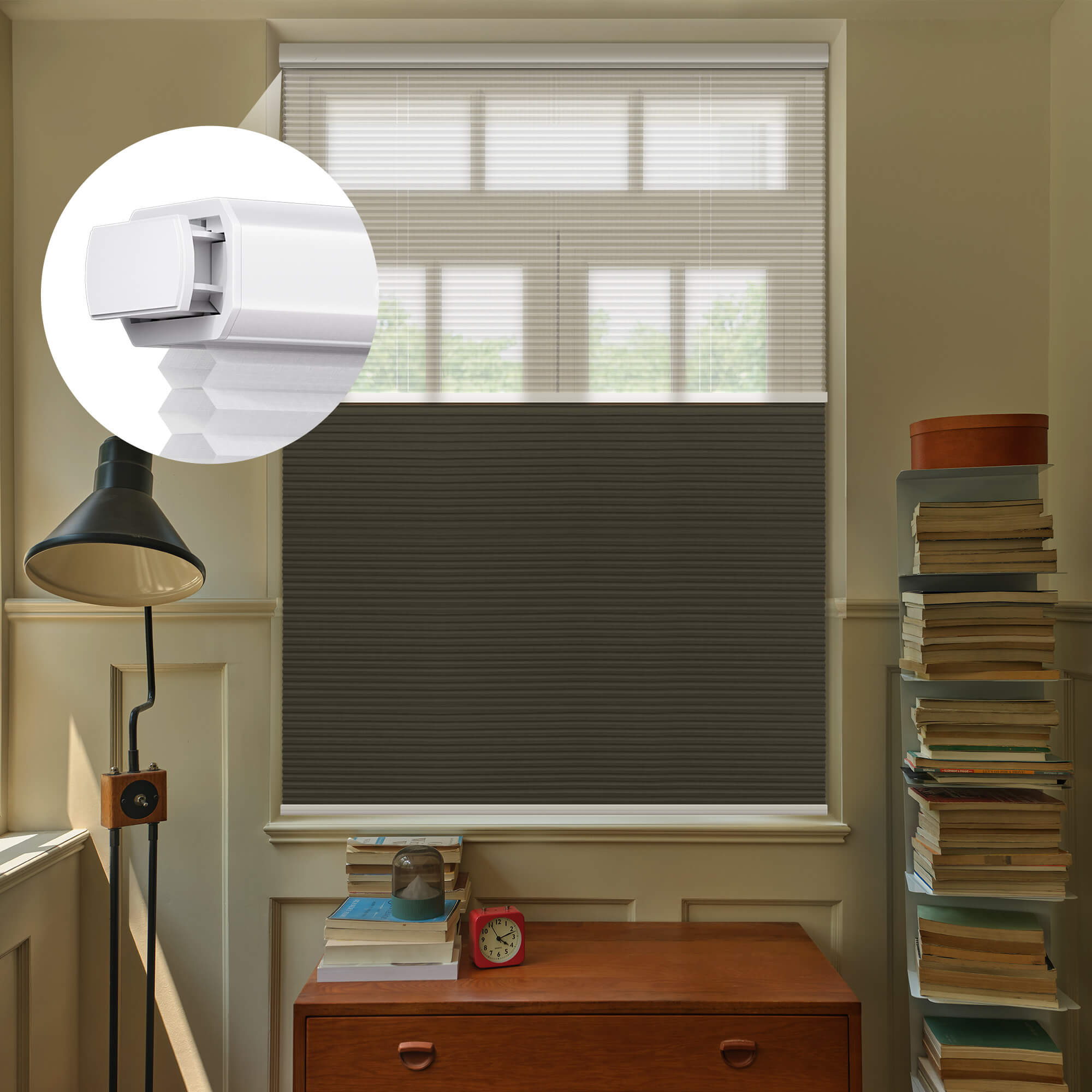 Allesin Prestige Motorized Day/Night Honeycomb Shades