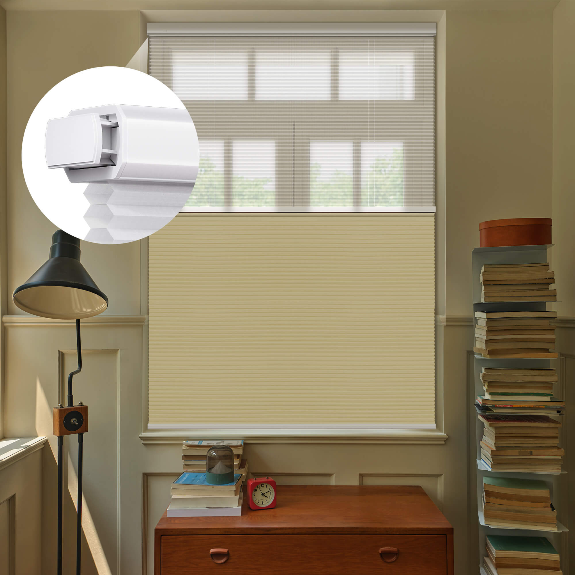 Allesin Prestige Motorized Day/Night Honeycomb Shades