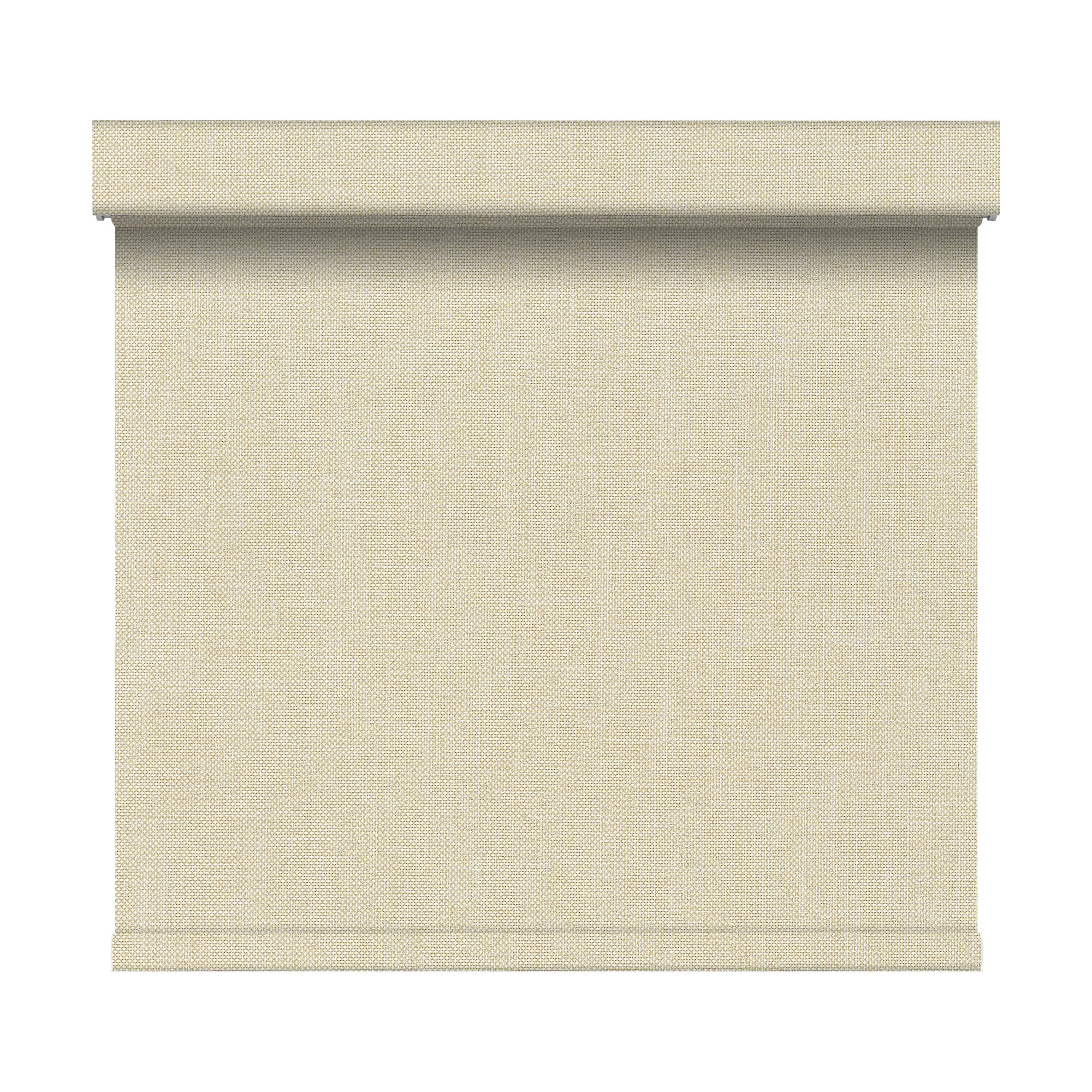 Allesin Prestige Motorized Blackout Roller Shades