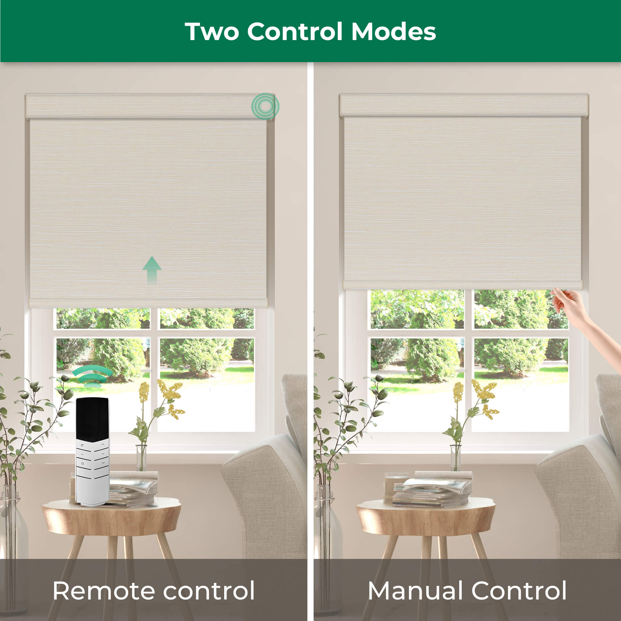 Allesin Dual-Control Blackout Roller Shades | Remote & Manual