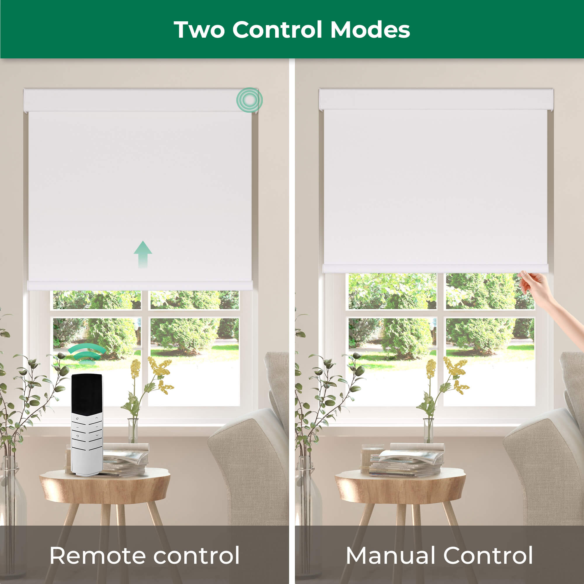 Allesin Dual-Control Blackout Roller Shades | Remote & Manual