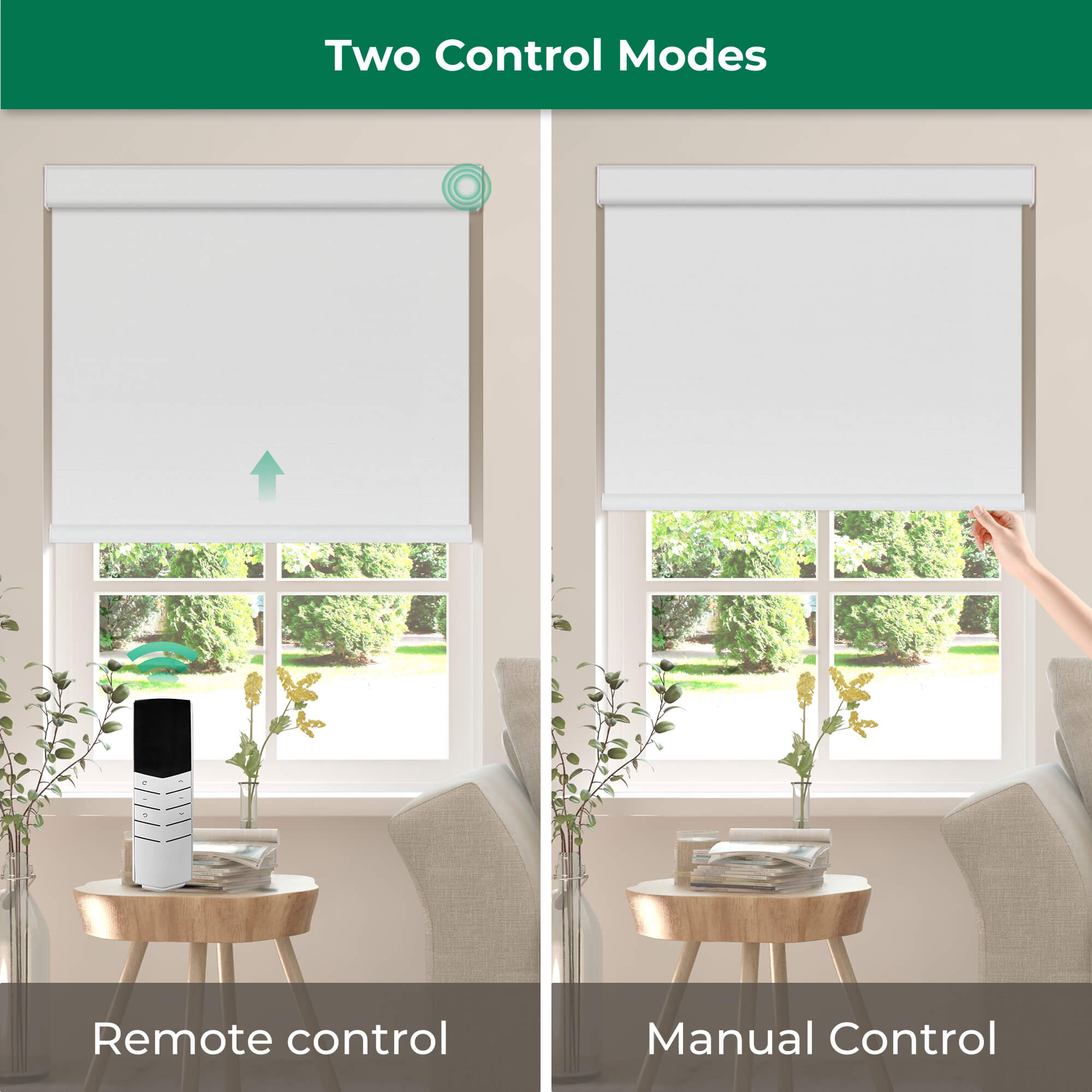 Allesin Dual-Control Blackout Roller Shades | Remote & Manual